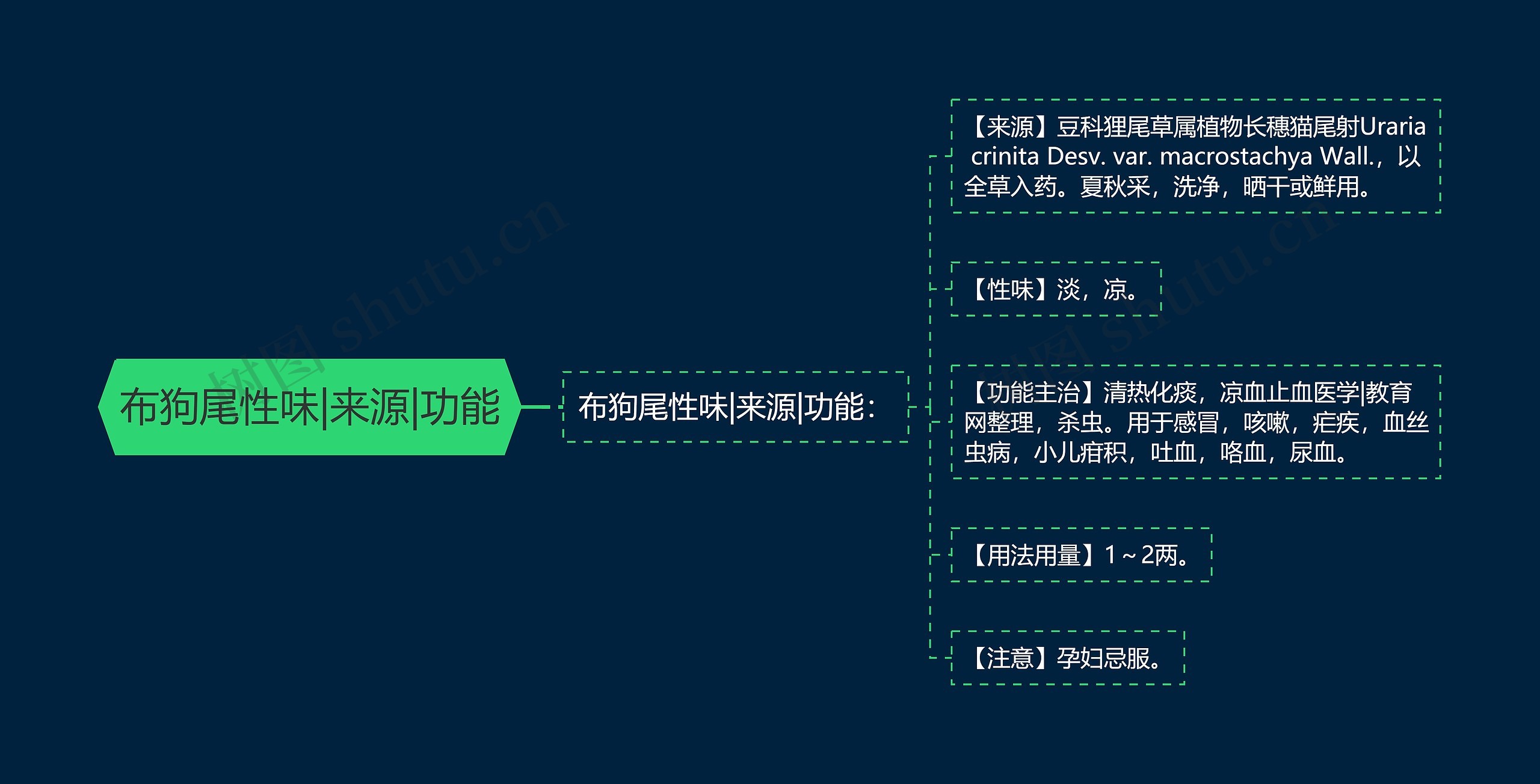 布狗尾性味|来源|功能思维导图