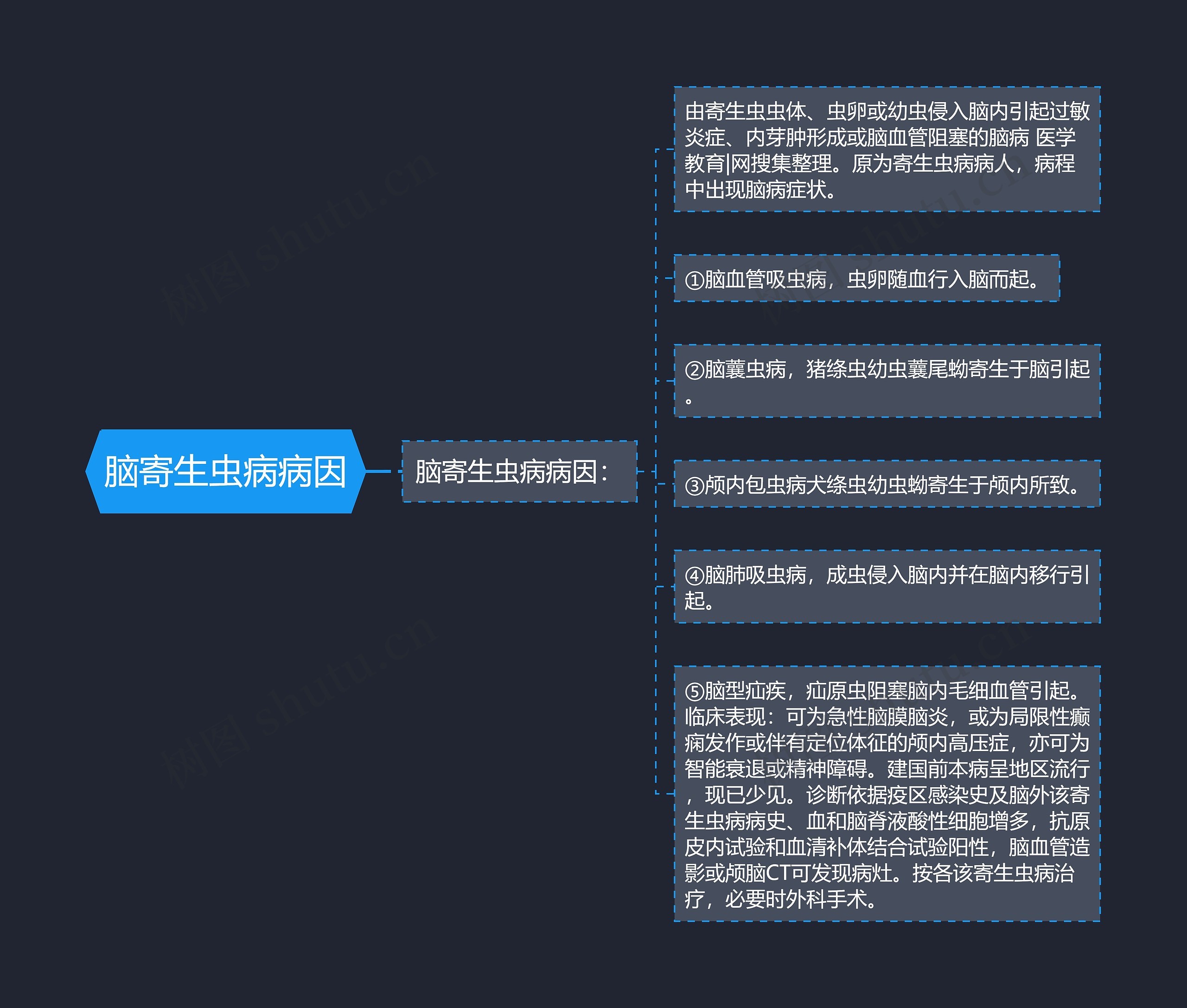 脑寄生虫病病因思维导图