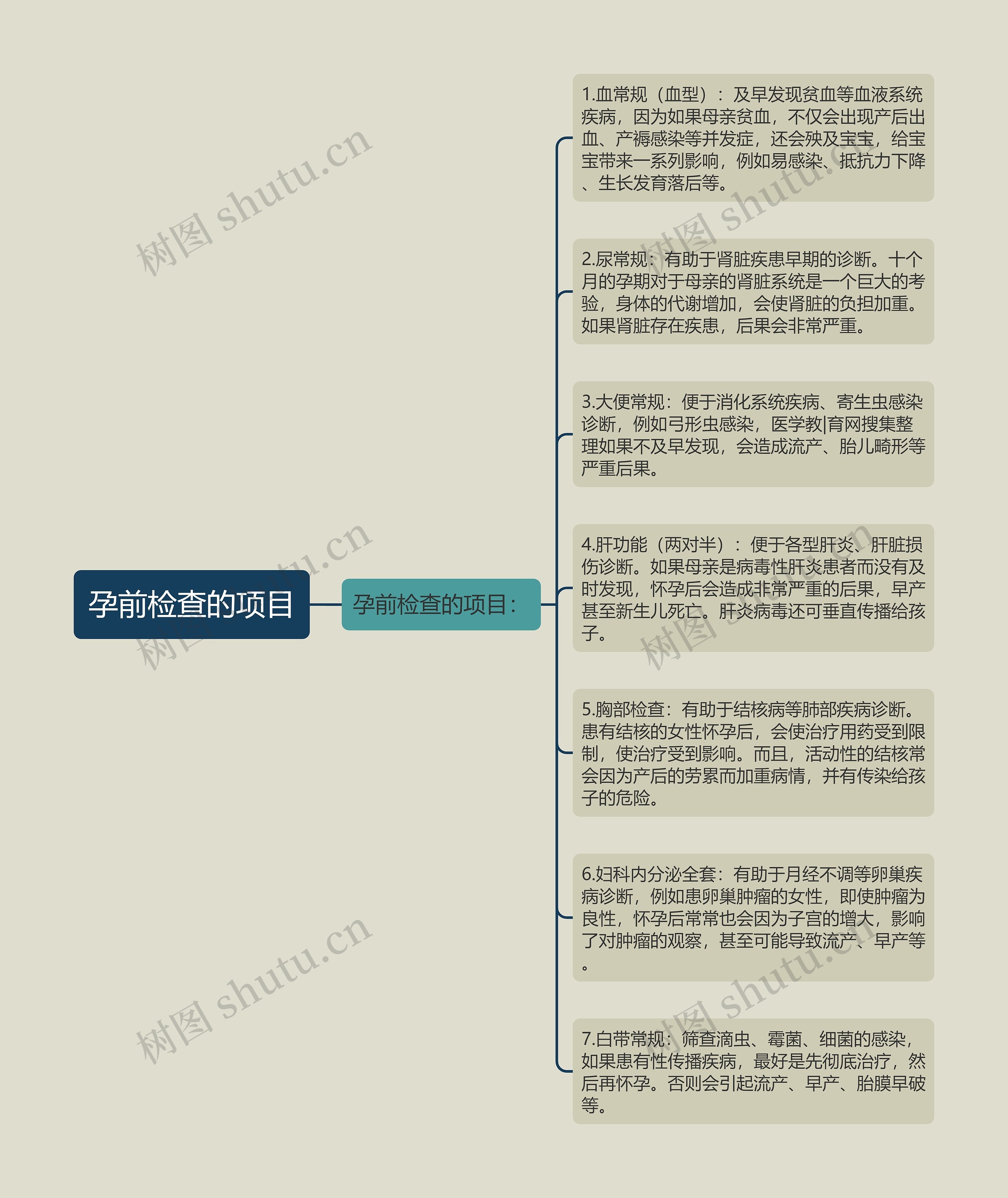 孕前检查的项目思维导图