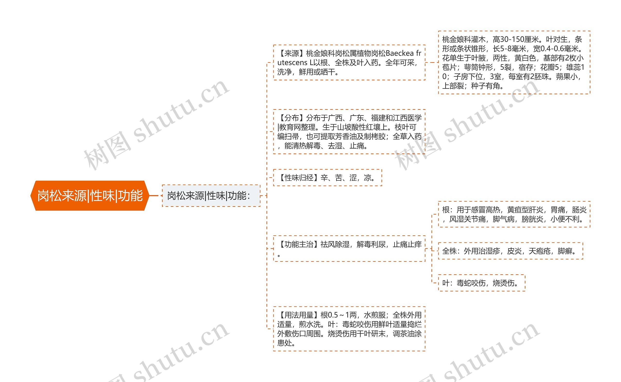 岗松来源|性味|功能思维导图