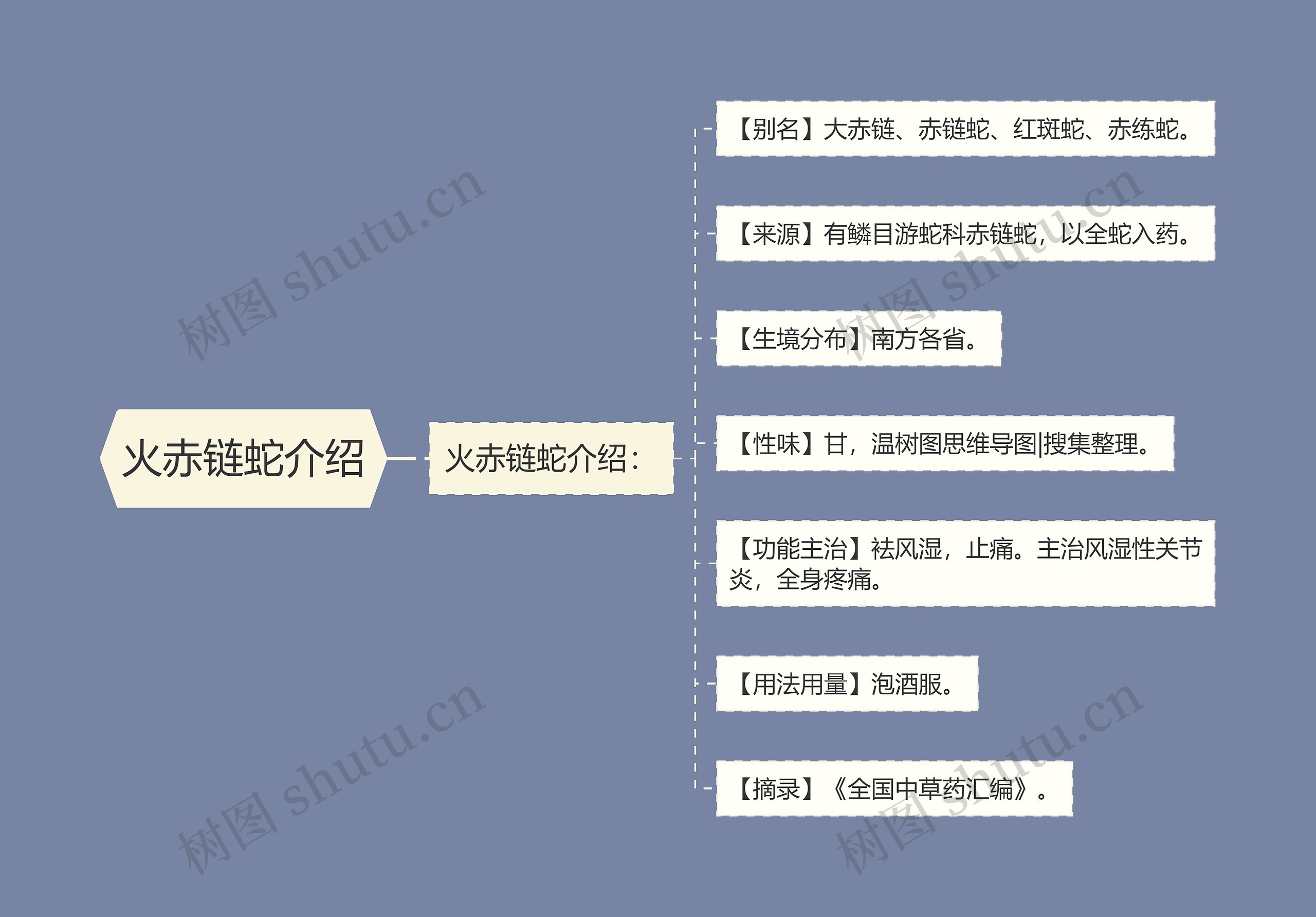 火赤链蛇介绍思维导图