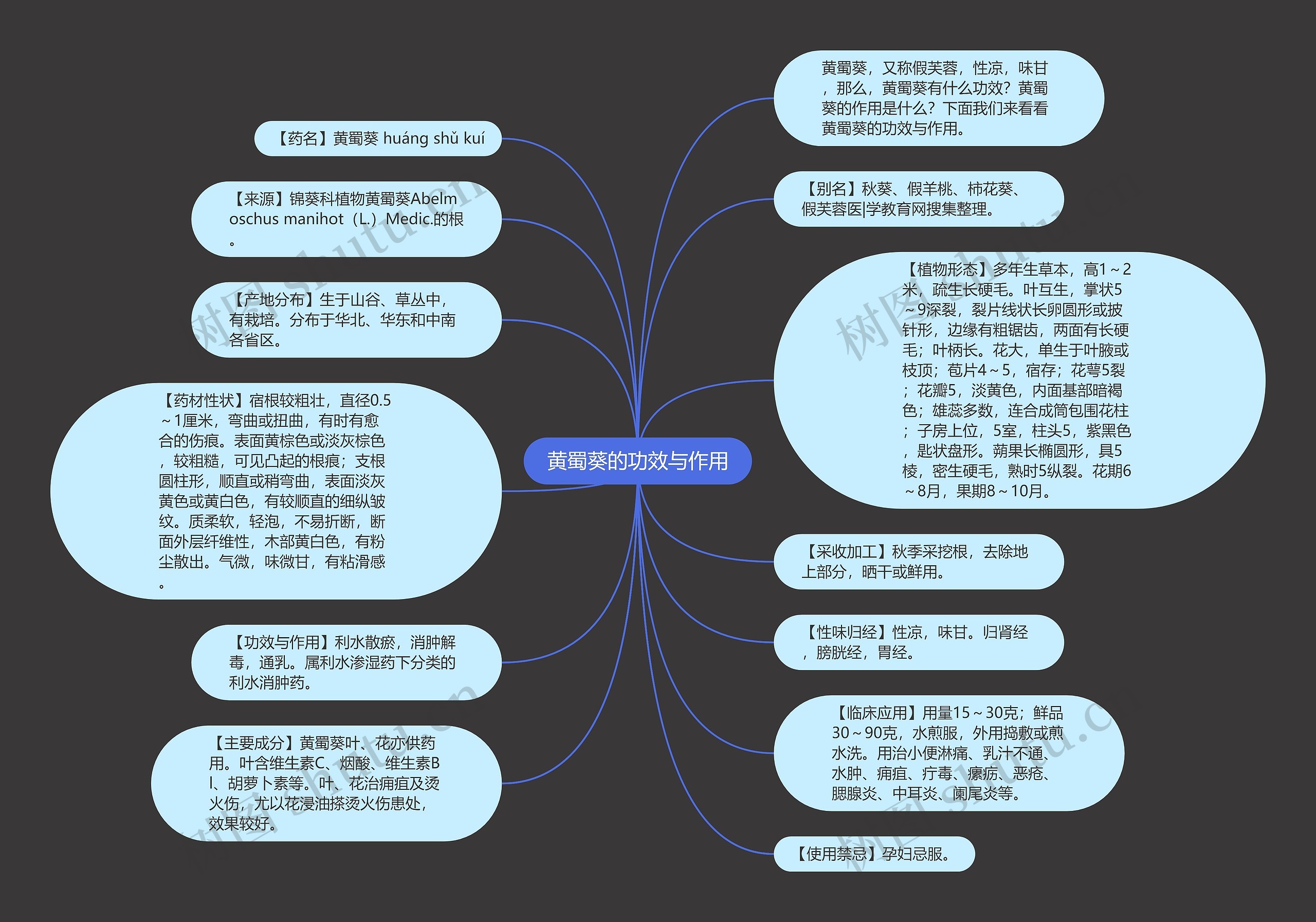 黄蜀葵的功效与作用思维导图