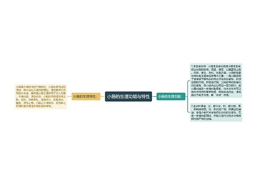 小肠的生理功能与特性