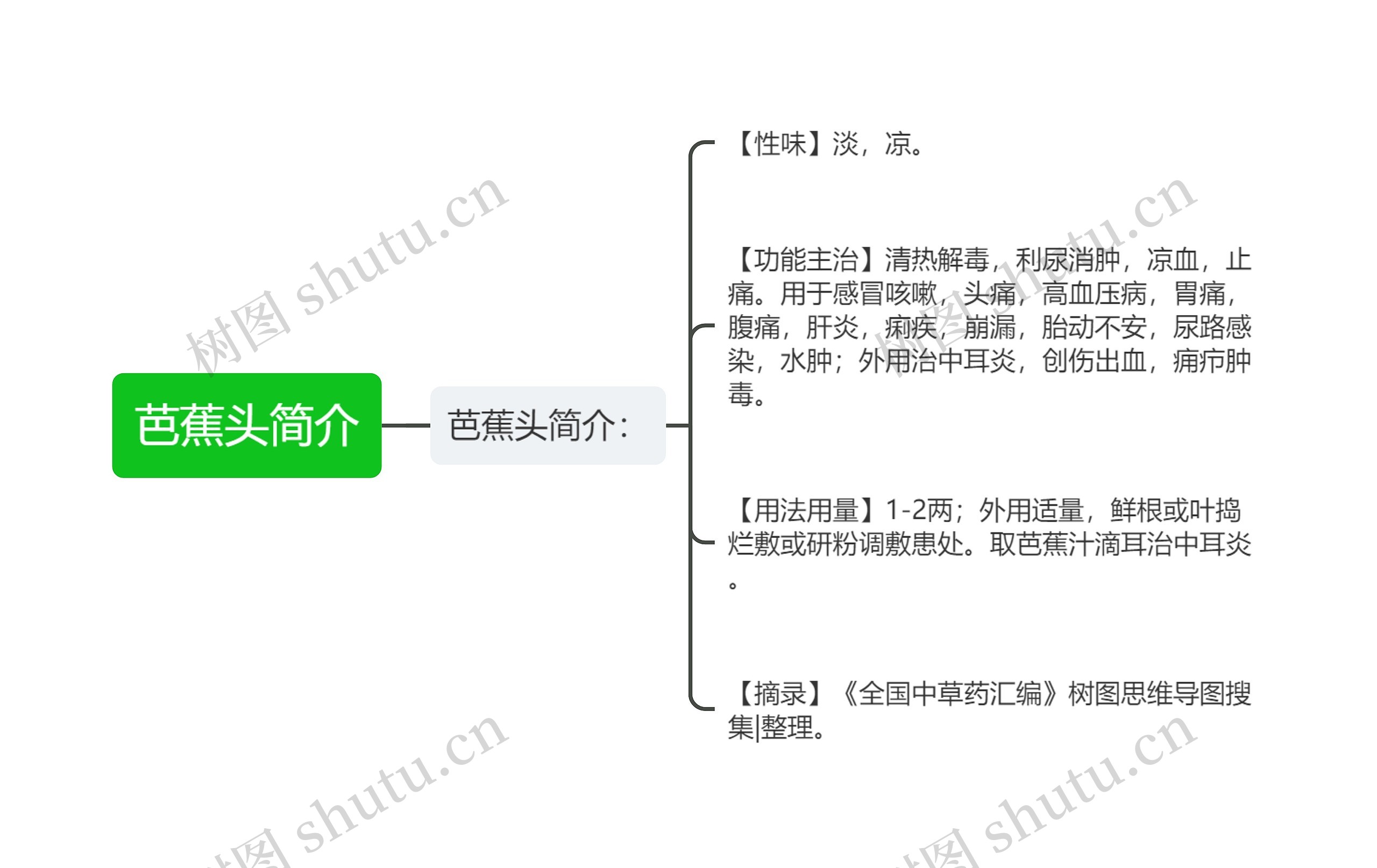 芭蕉头简介思维导图