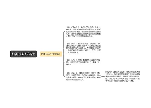 釉质形成相关构造