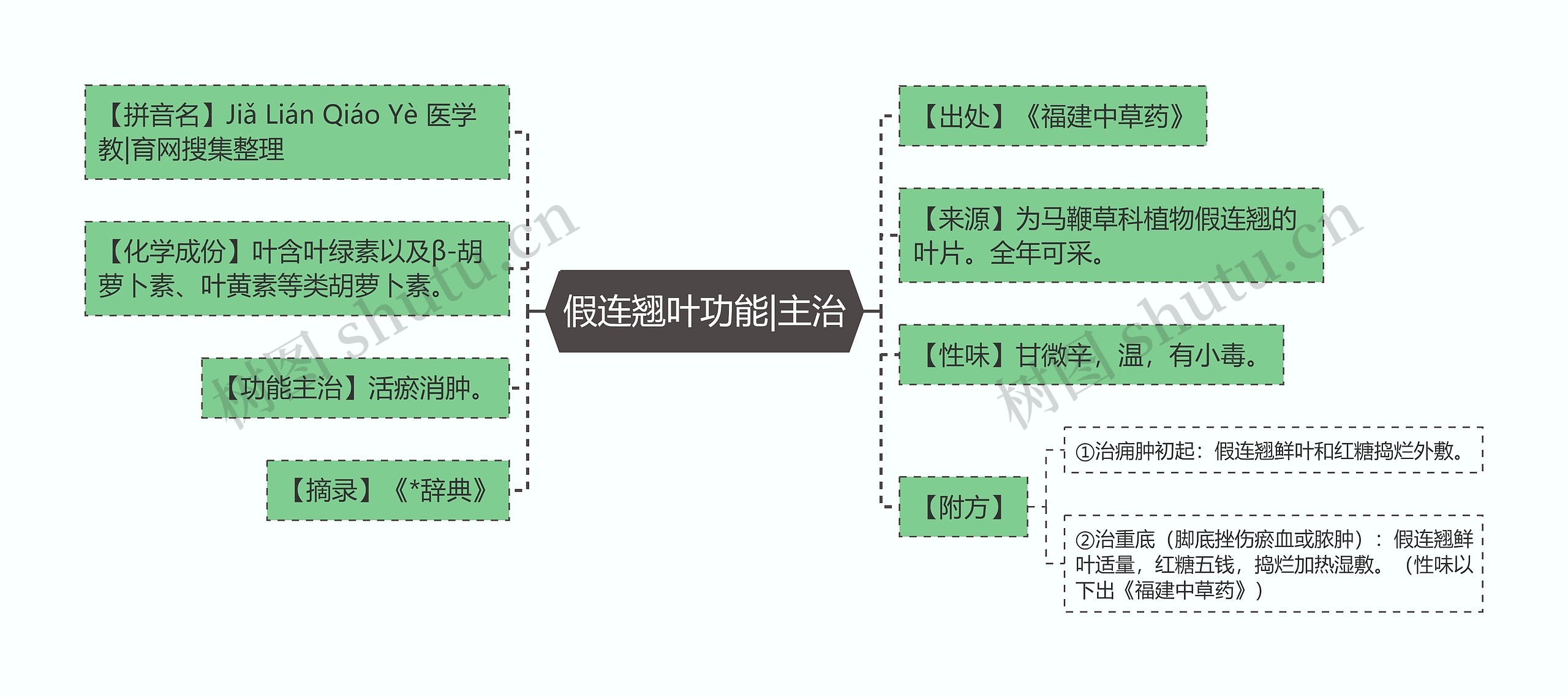 假连翘叶功能|主治思维导图