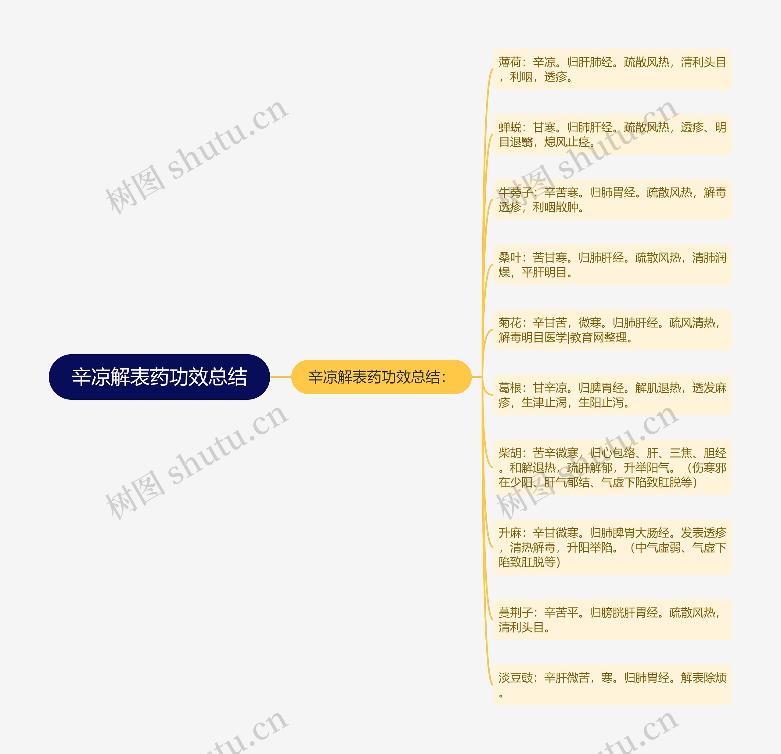 辛凉解表药功效总结