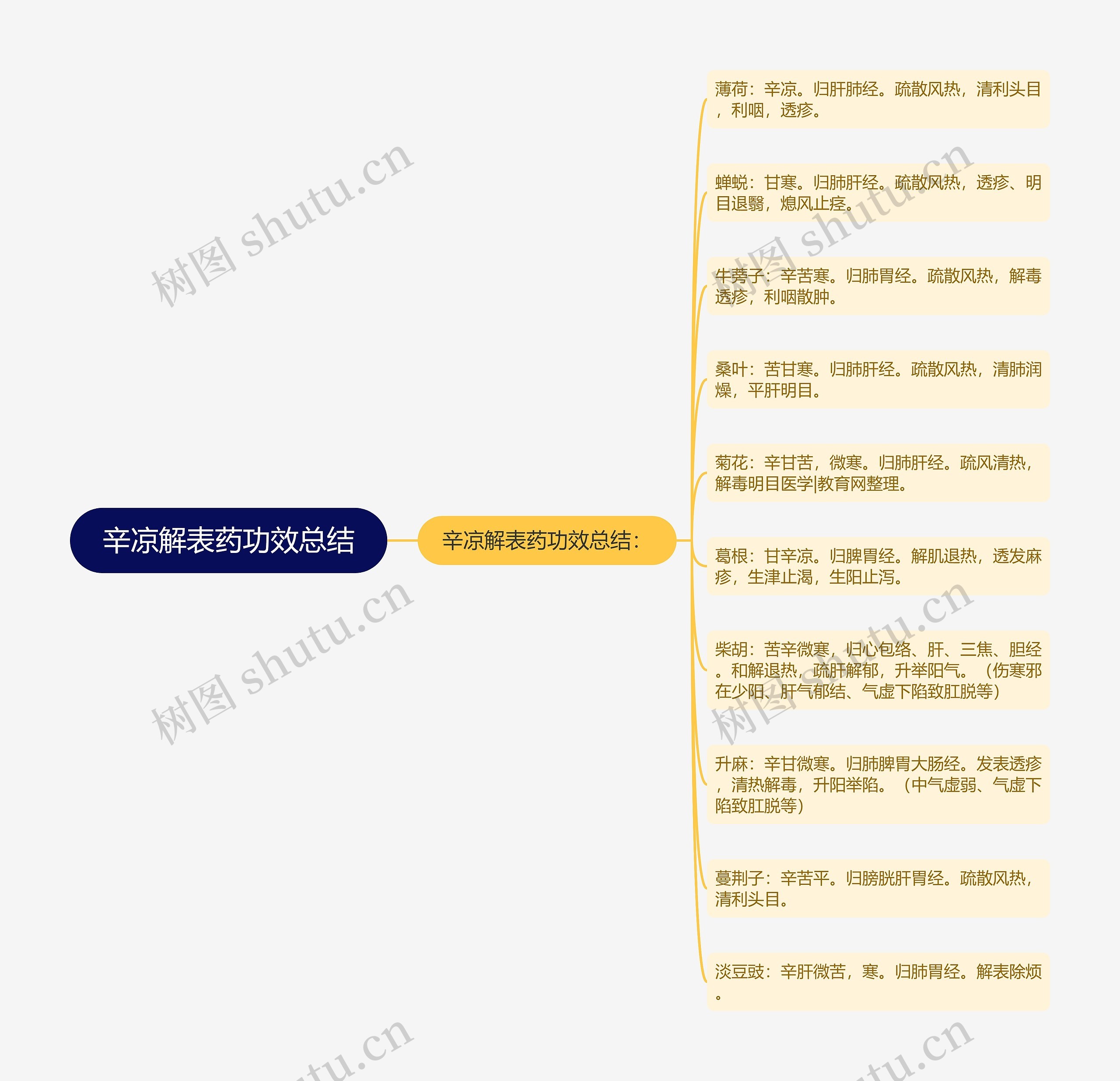 辛凉解表药功效总结思维导图