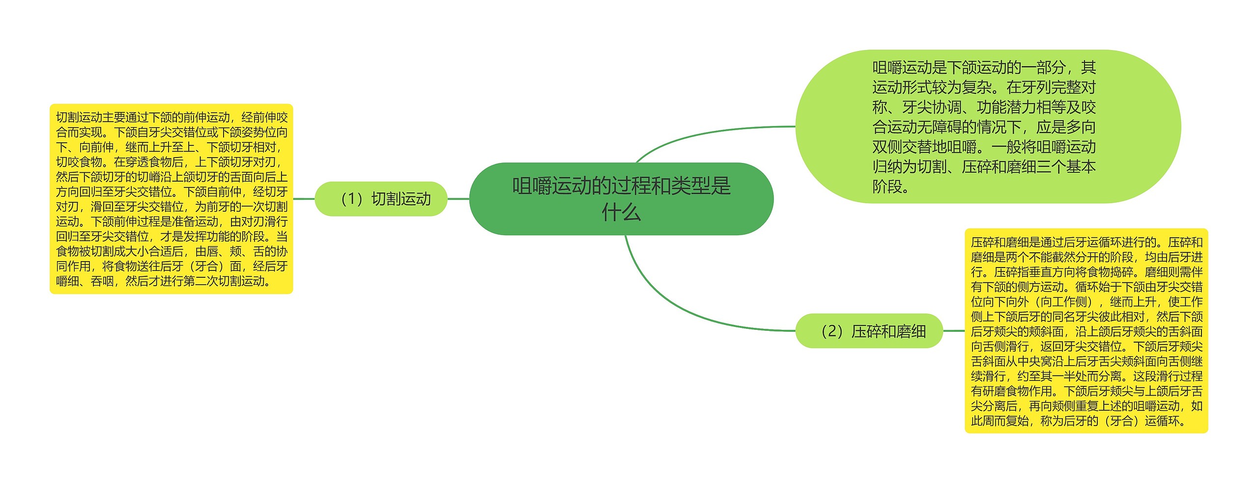 咀嚼运动的过程和类型是什么思维导图