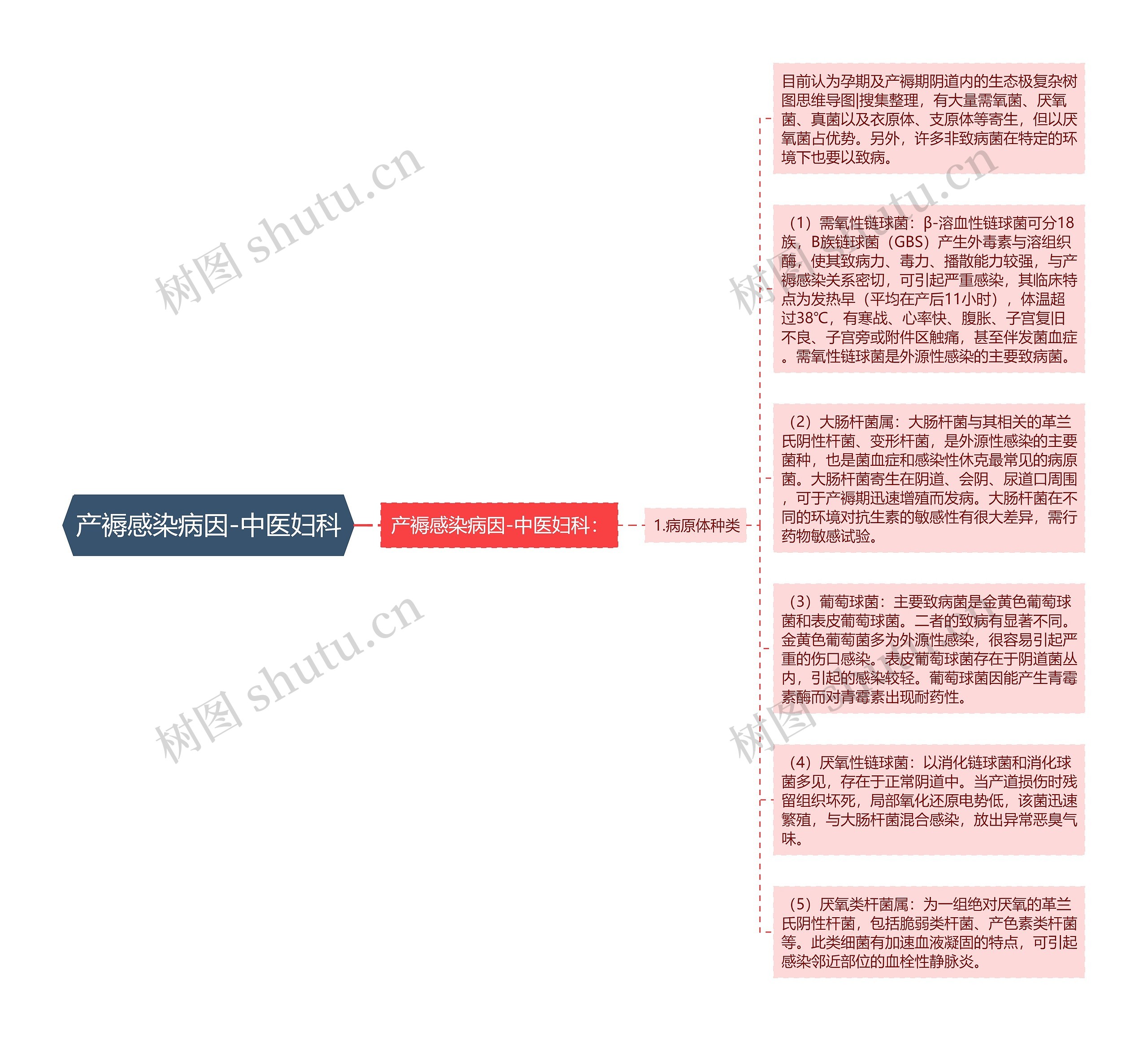 产褥感染病因-中医妇科思维导图