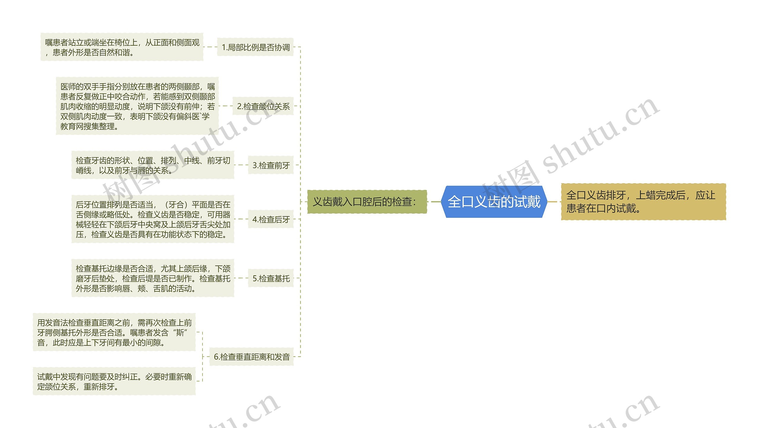 全口义齿的试戴