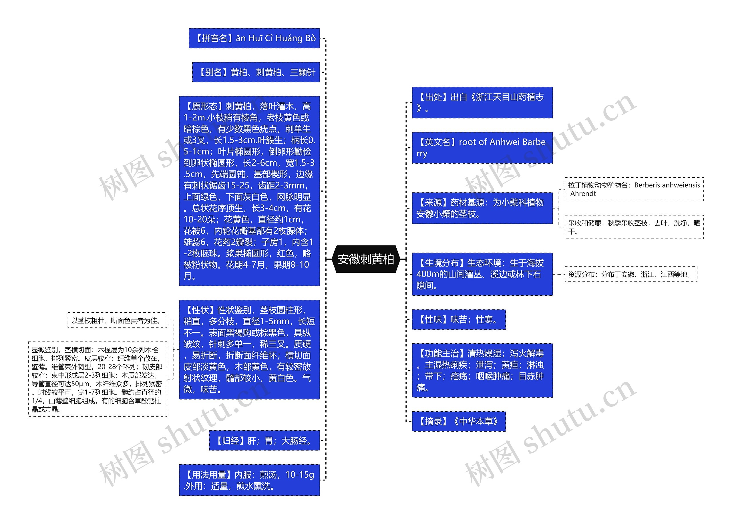安徽刺黄柏思维导图