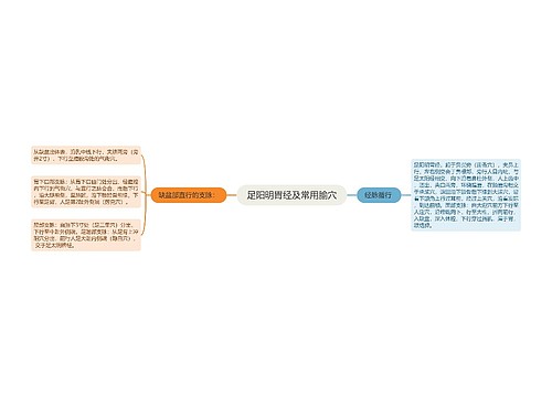 足阳明胃经及常用腧穴