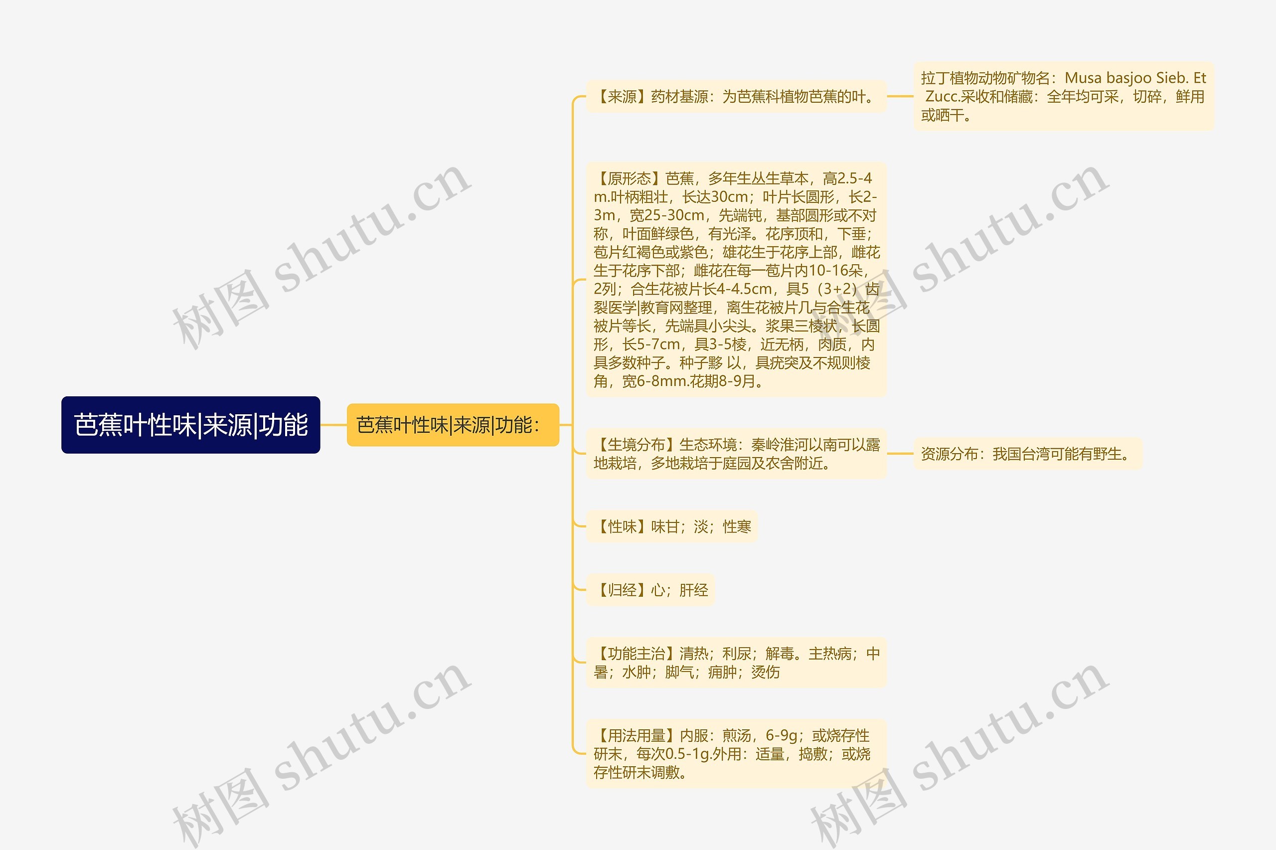 芭蕉叶性味|来源|功能思维导图