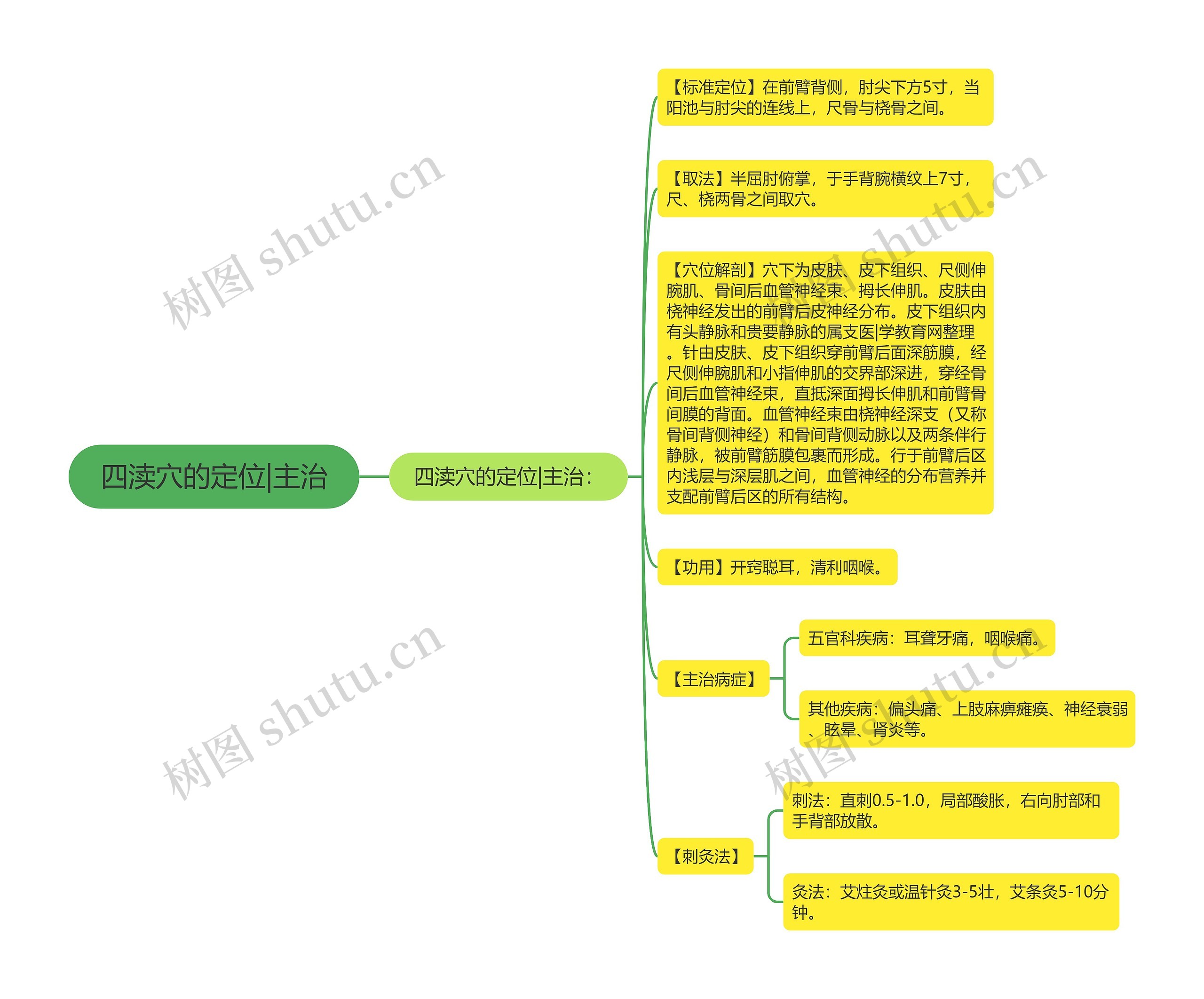 四渎穴的定位|主治思维导图