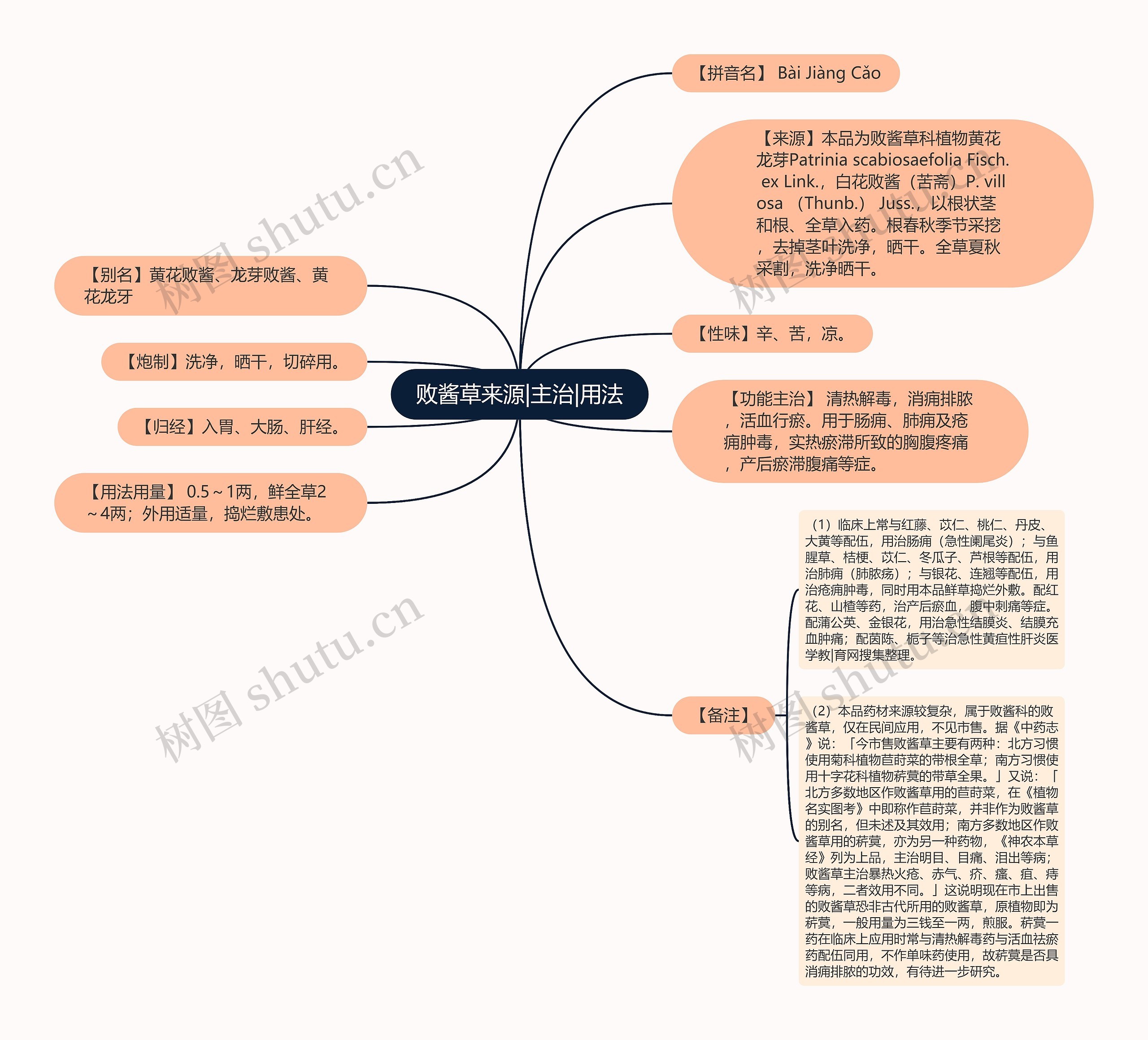 败酱草来源|主治|用法思维导图