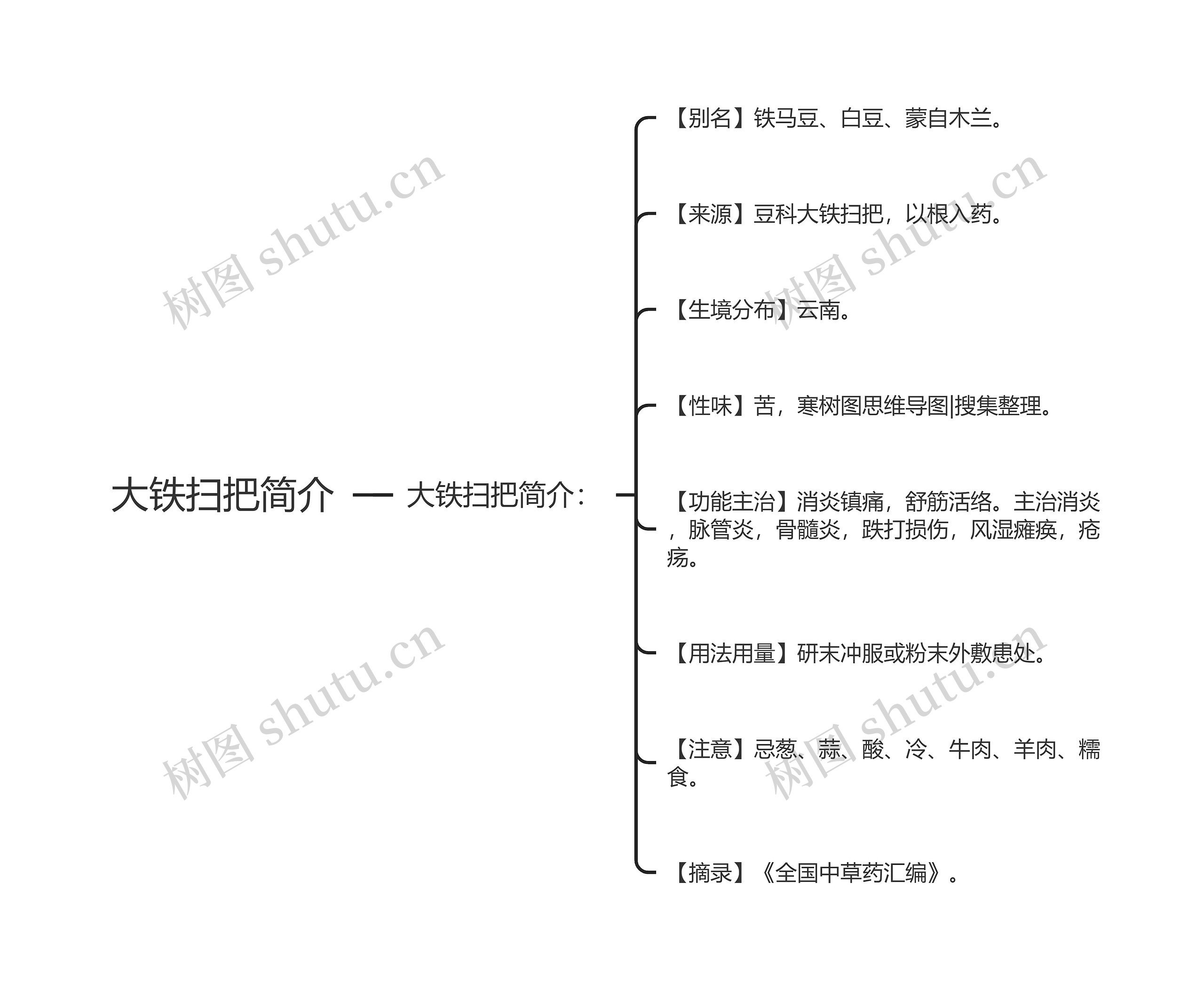 大铁扫把简介思维导图