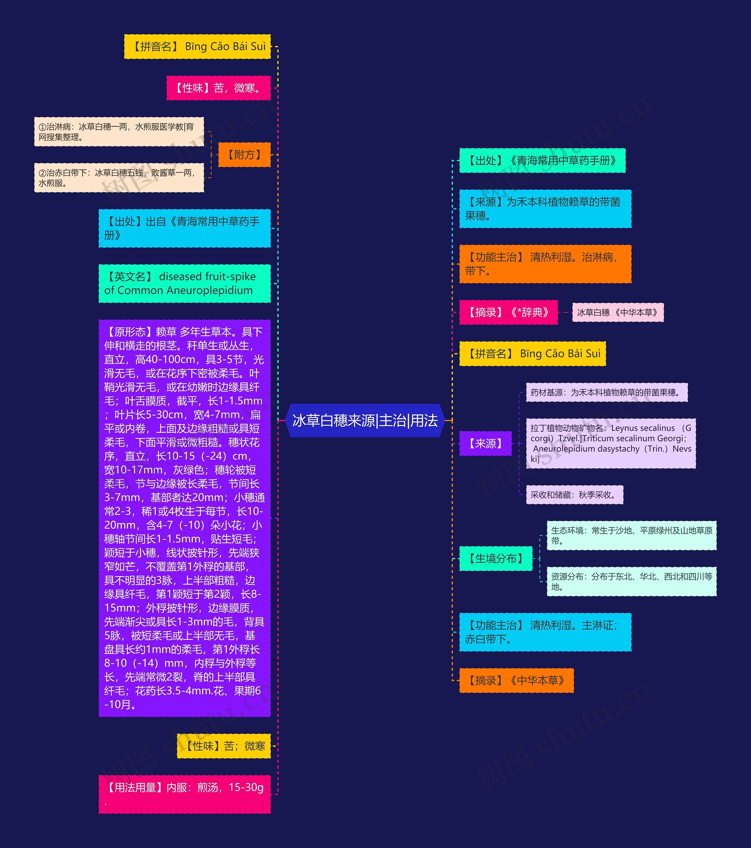 冰草白穗来源|主治|用法思维导图