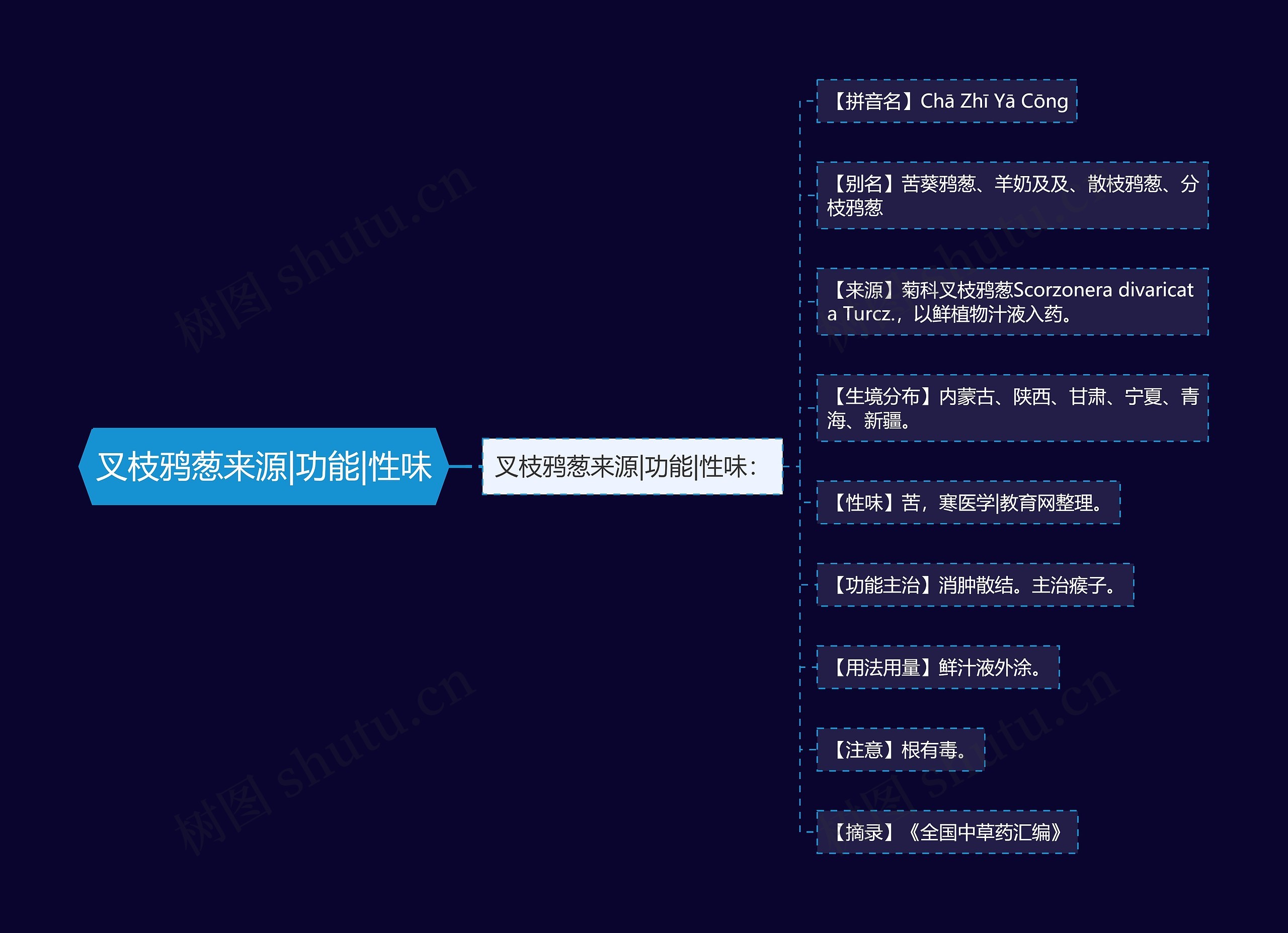 叉枝鸦葱来源|功能|性味 叉枝鸦葱来源|功能|性味