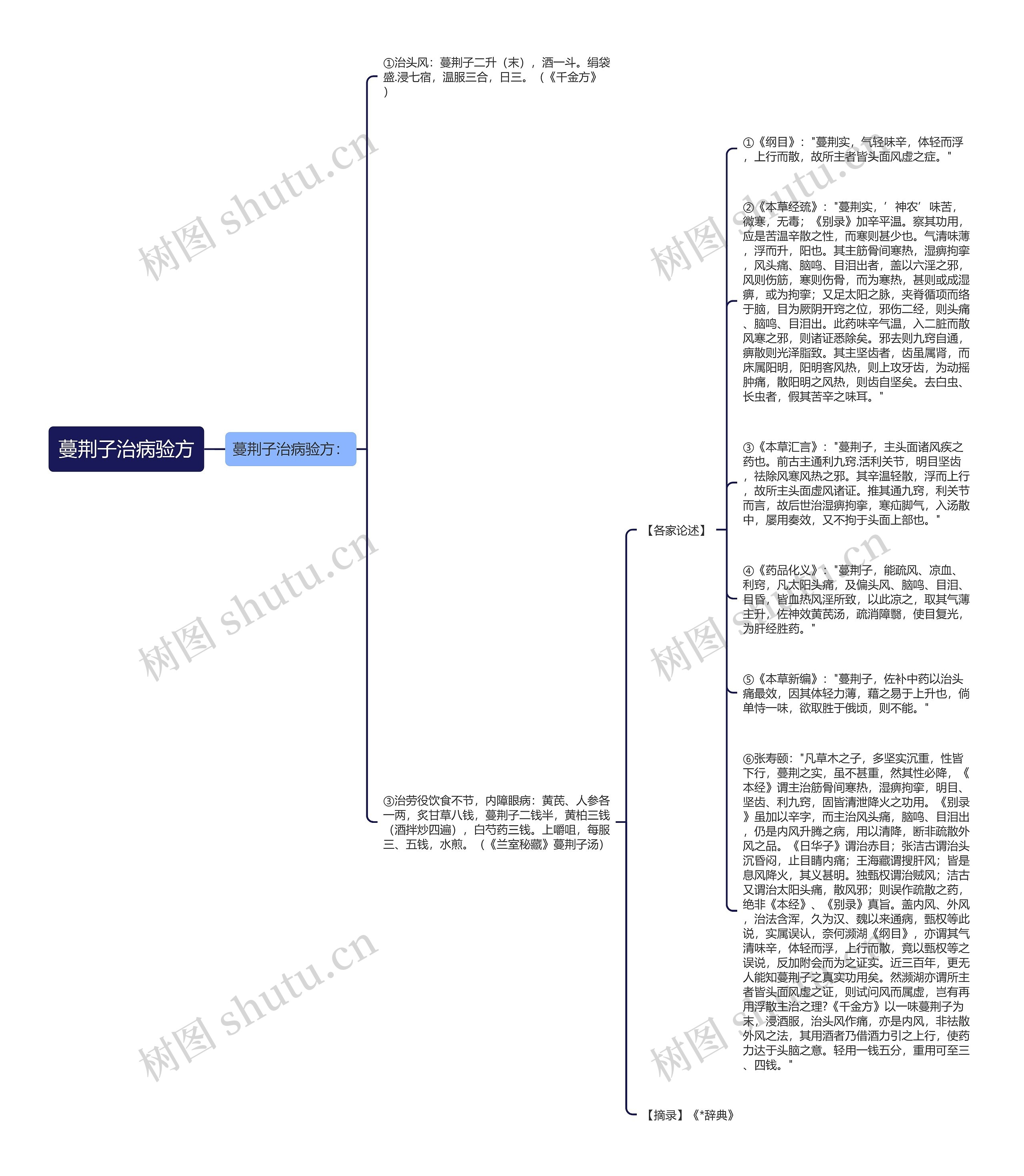 蔓荆子治病验方思维导图