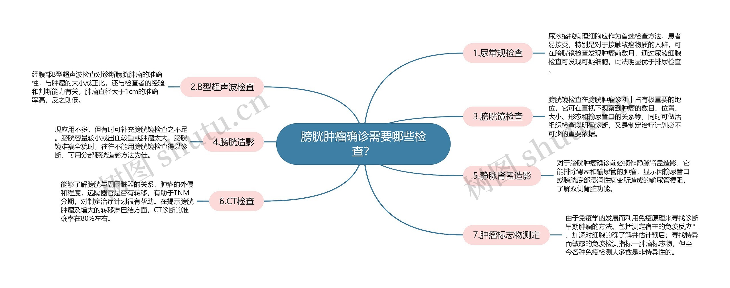 膀胱肿瘤确诊需要哪些检查？思维导图