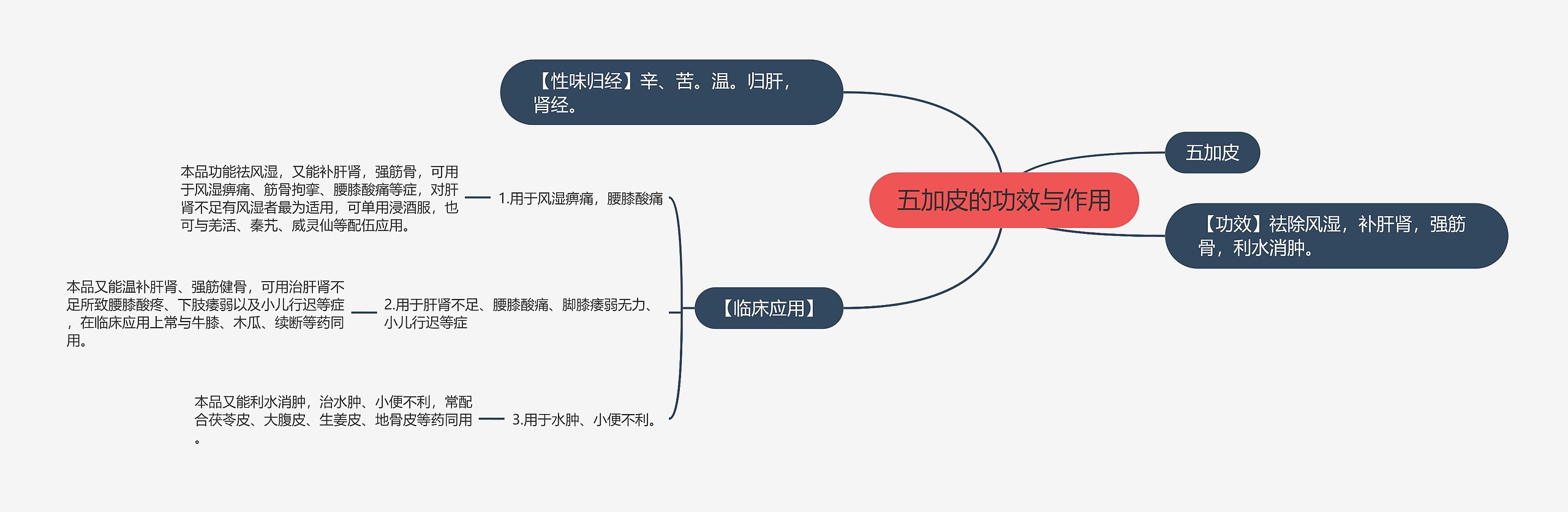 五加皮的功效与作用思维导图