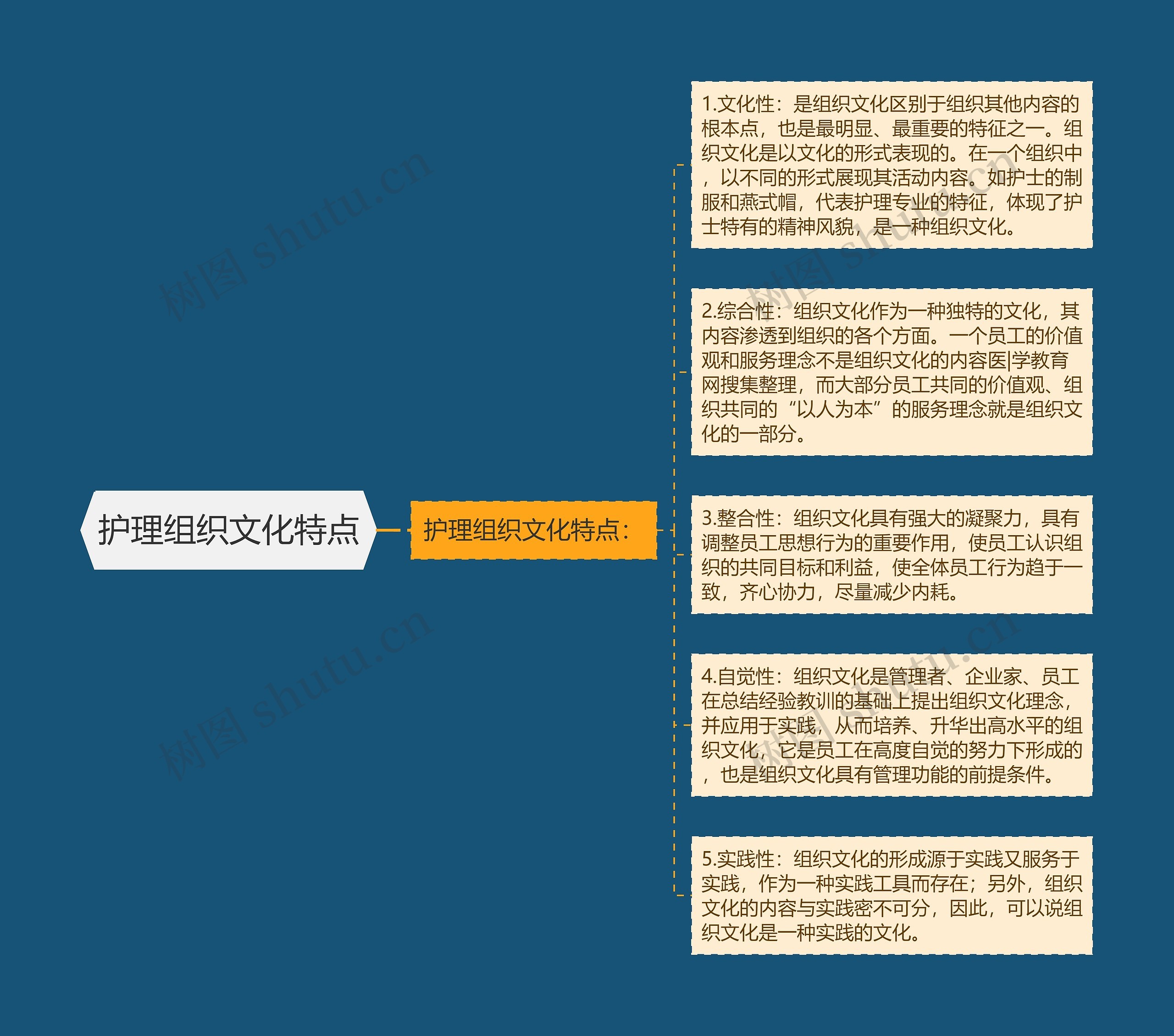 护理组织文化特点 护理组织文化特点