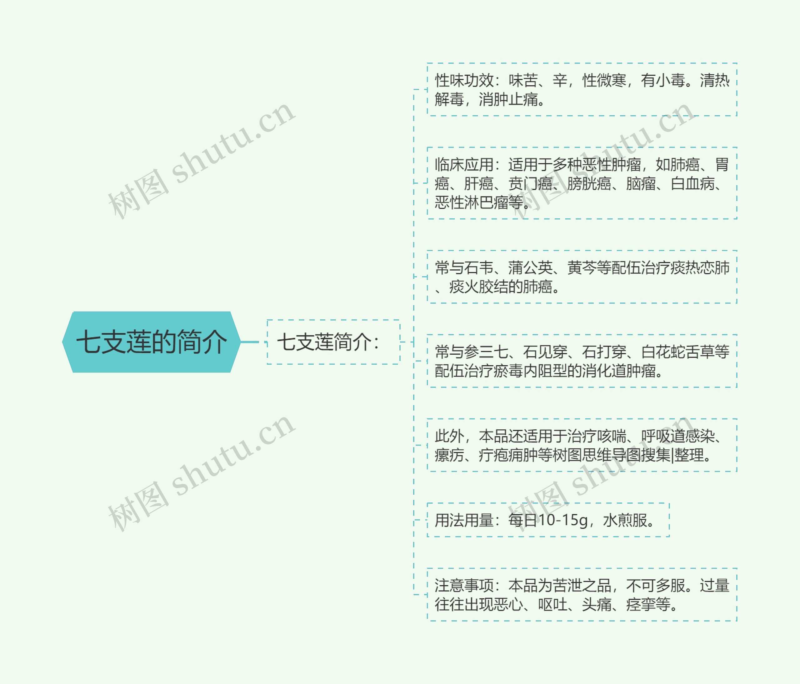 七支莲的简介思维导图