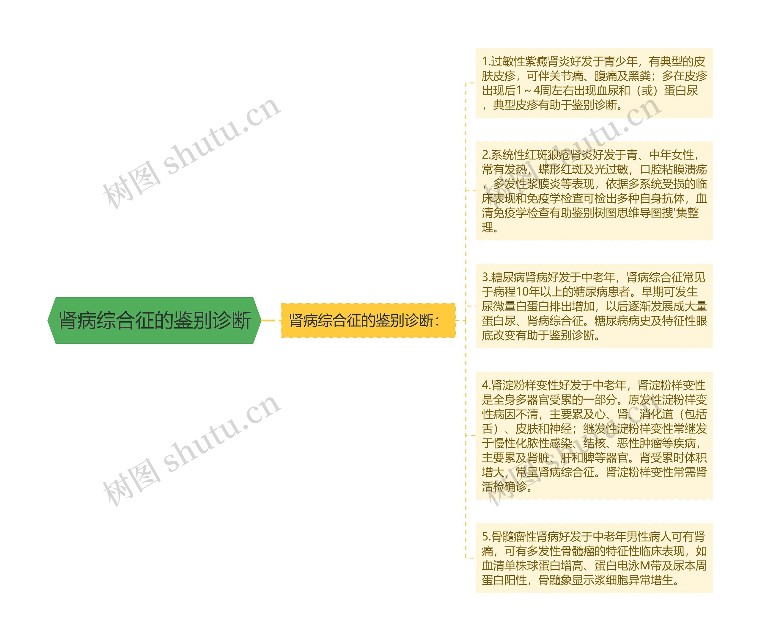 肾病综合征的鉴别诊断