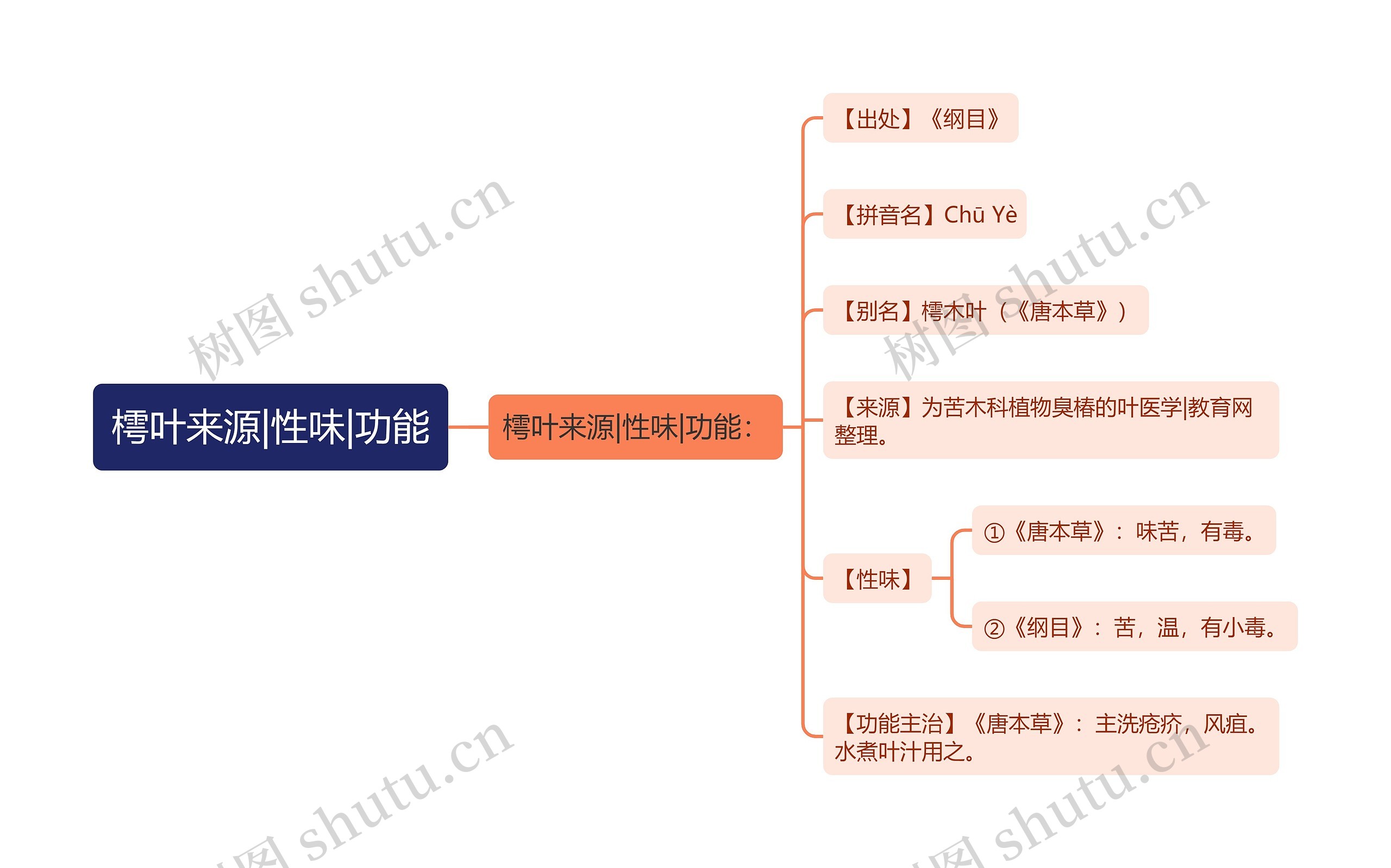 樗叶来源|性味|功能思维导图