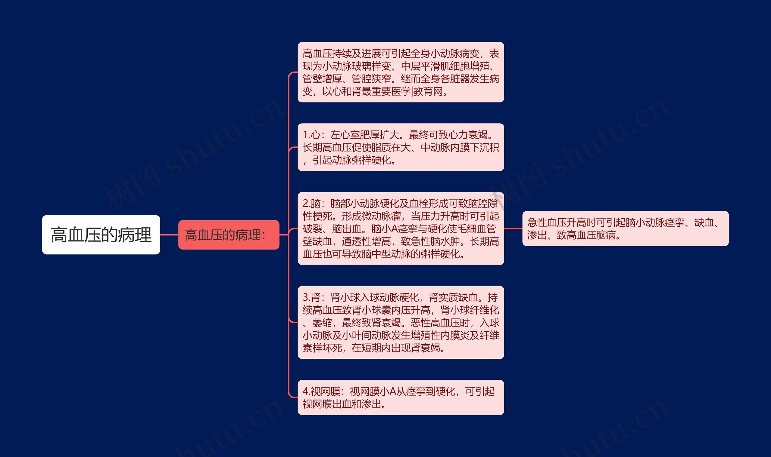 高血压的病理思维导图