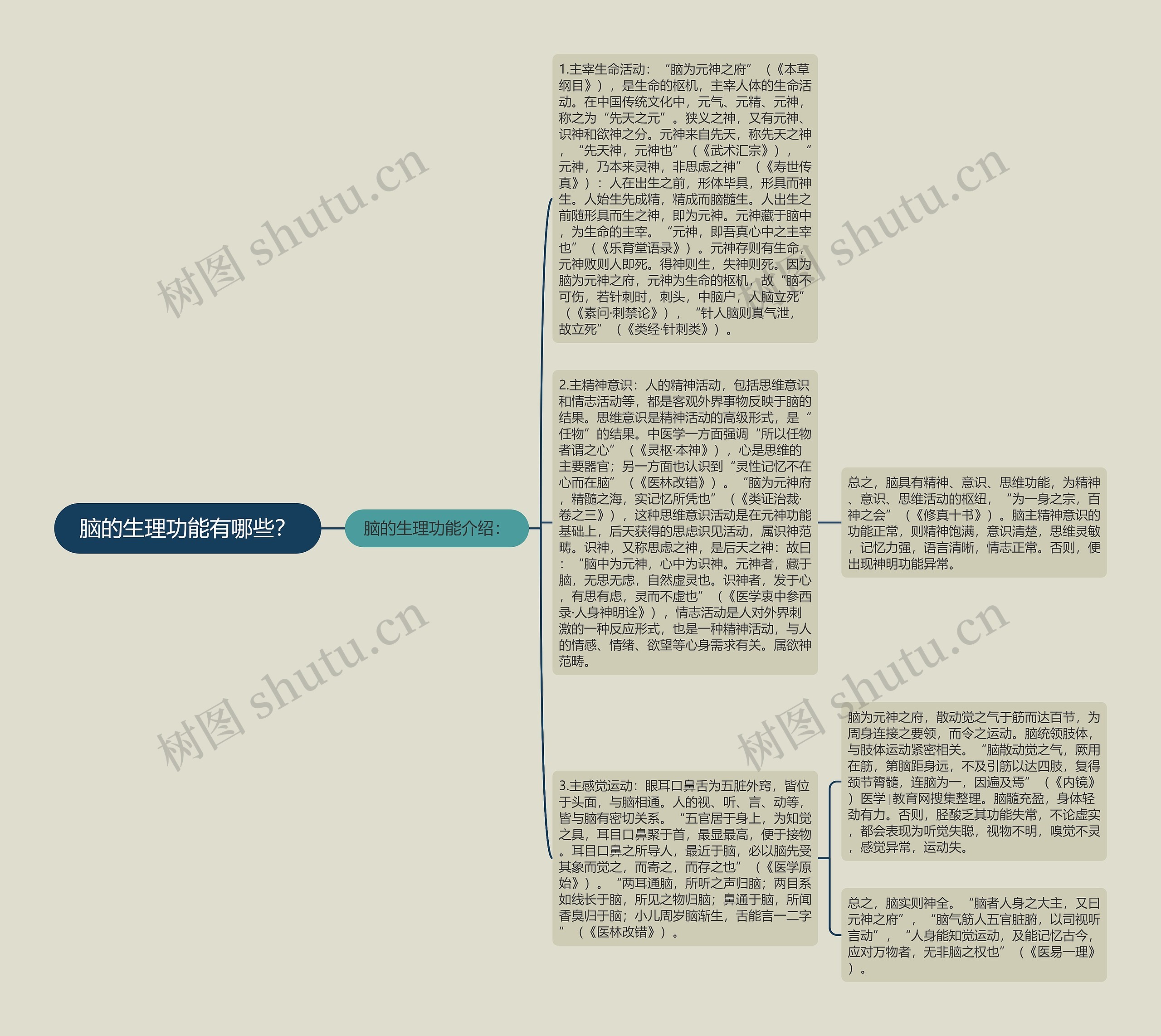 脑的生理功能有哪些？思维导图