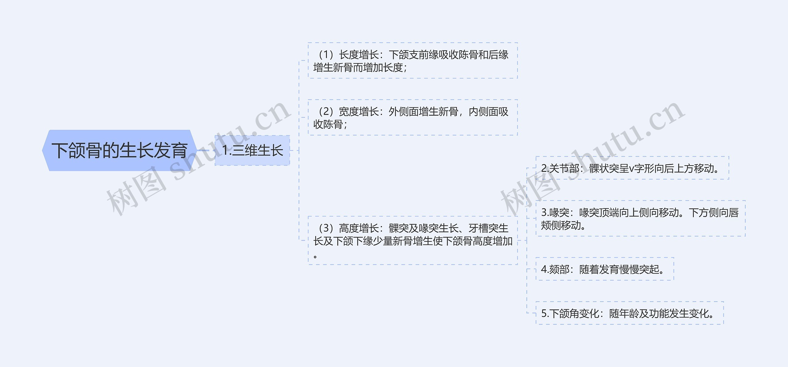 下颌骨的生长发育 下颌骨的生长发育