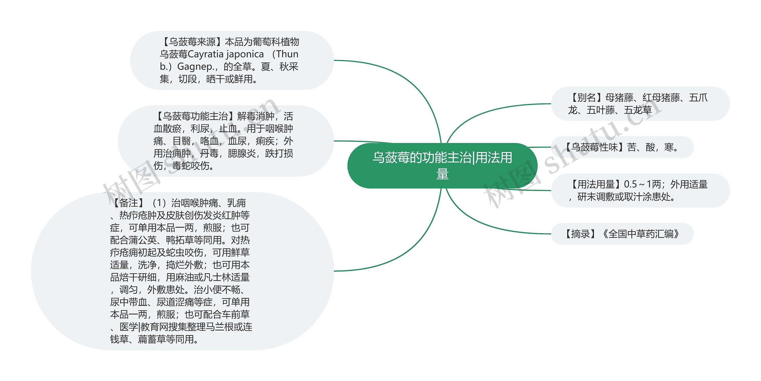 乌蔹莓的功能主治|用法用量