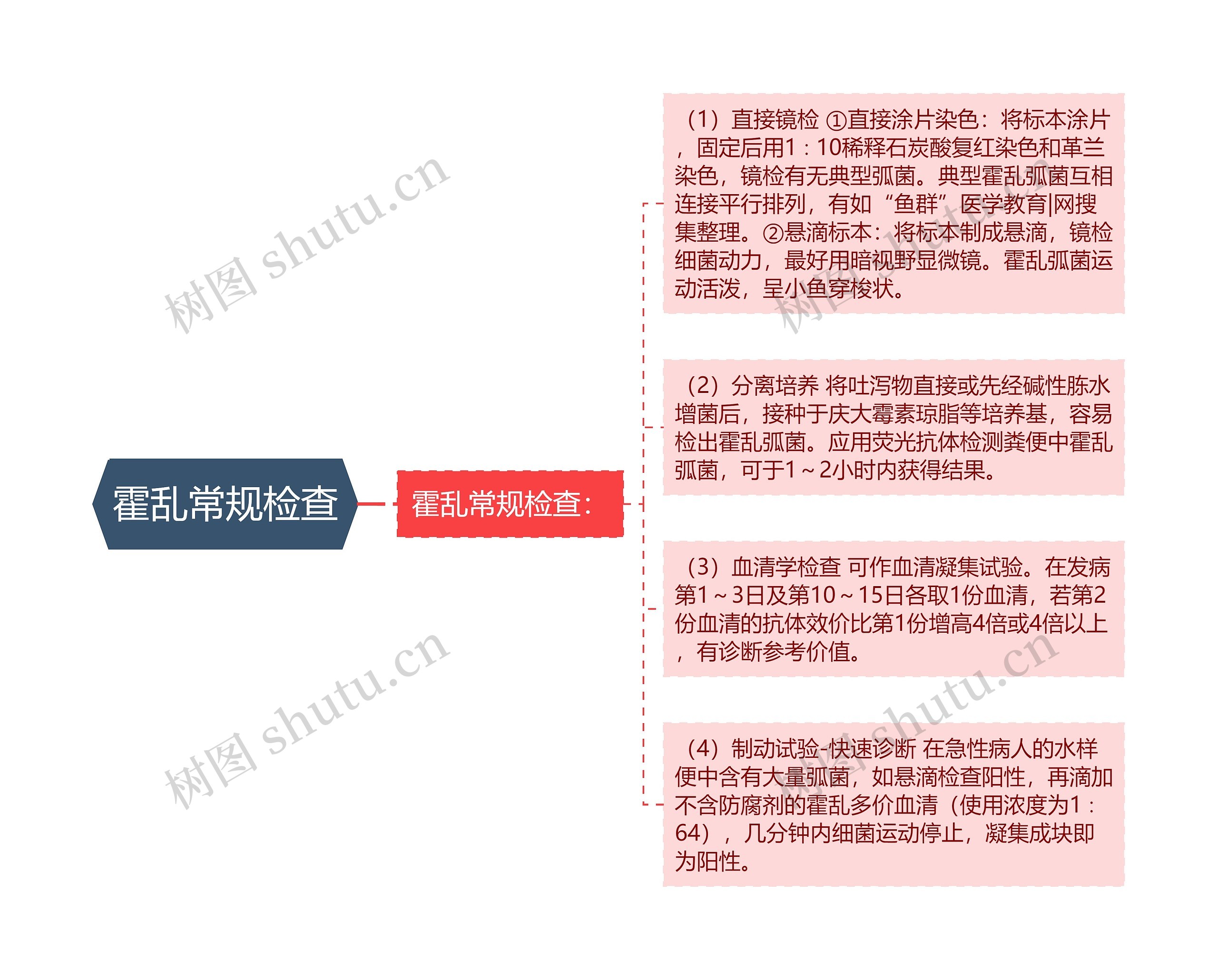 霍乱常规检查