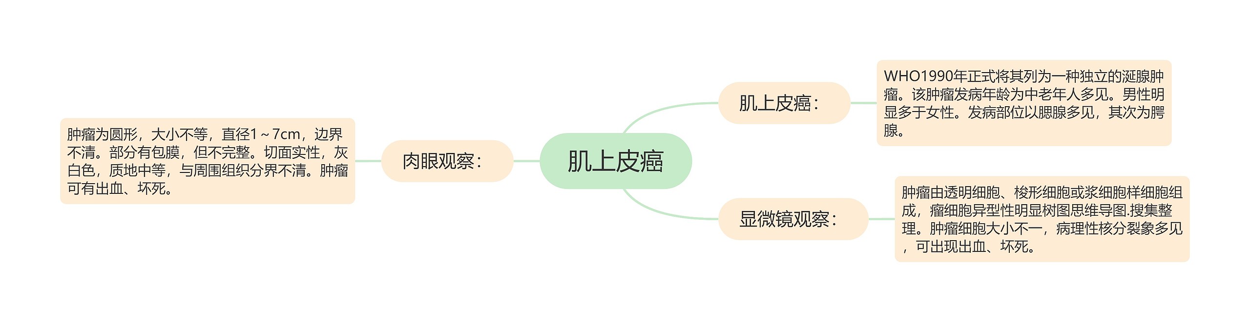 肌上皮癌思维导图