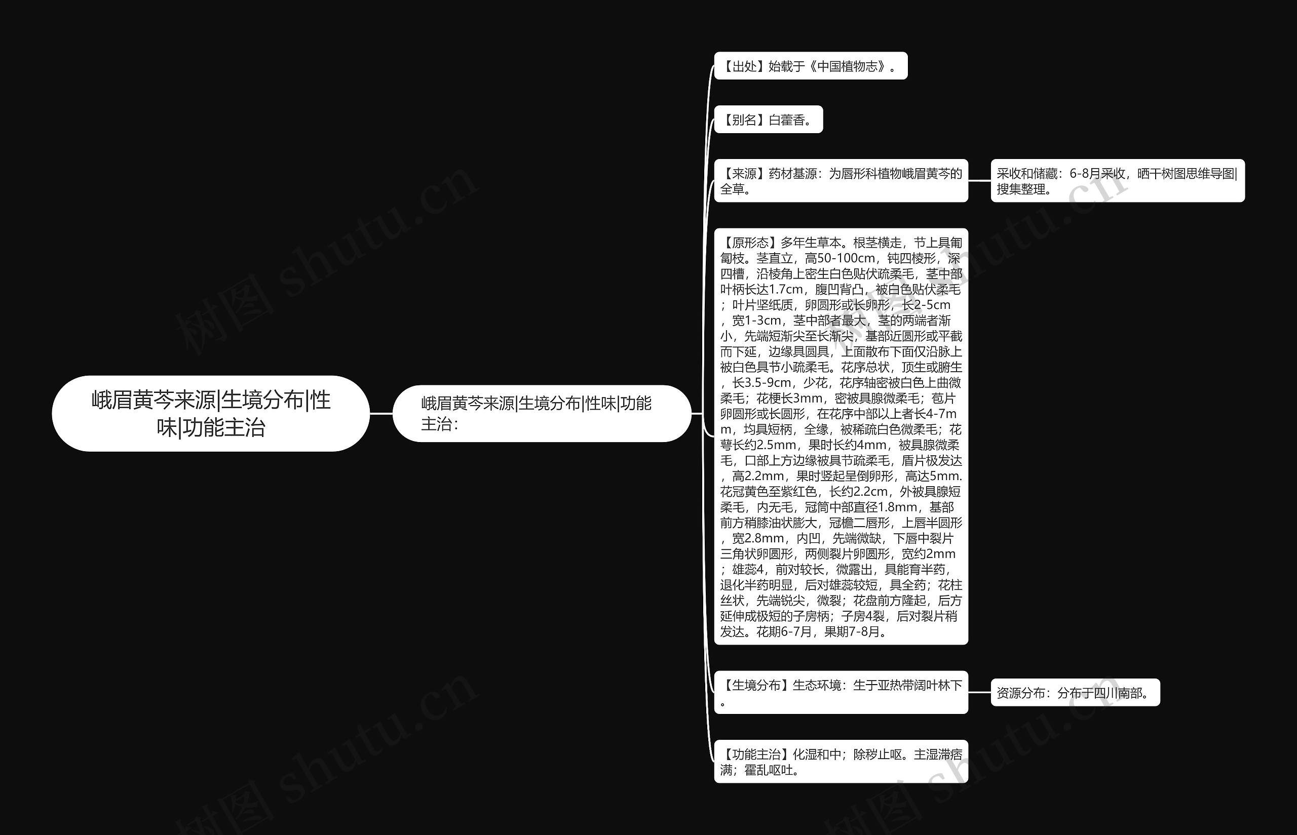 峨眉黄芩来源|生境分布|性味|功能主治