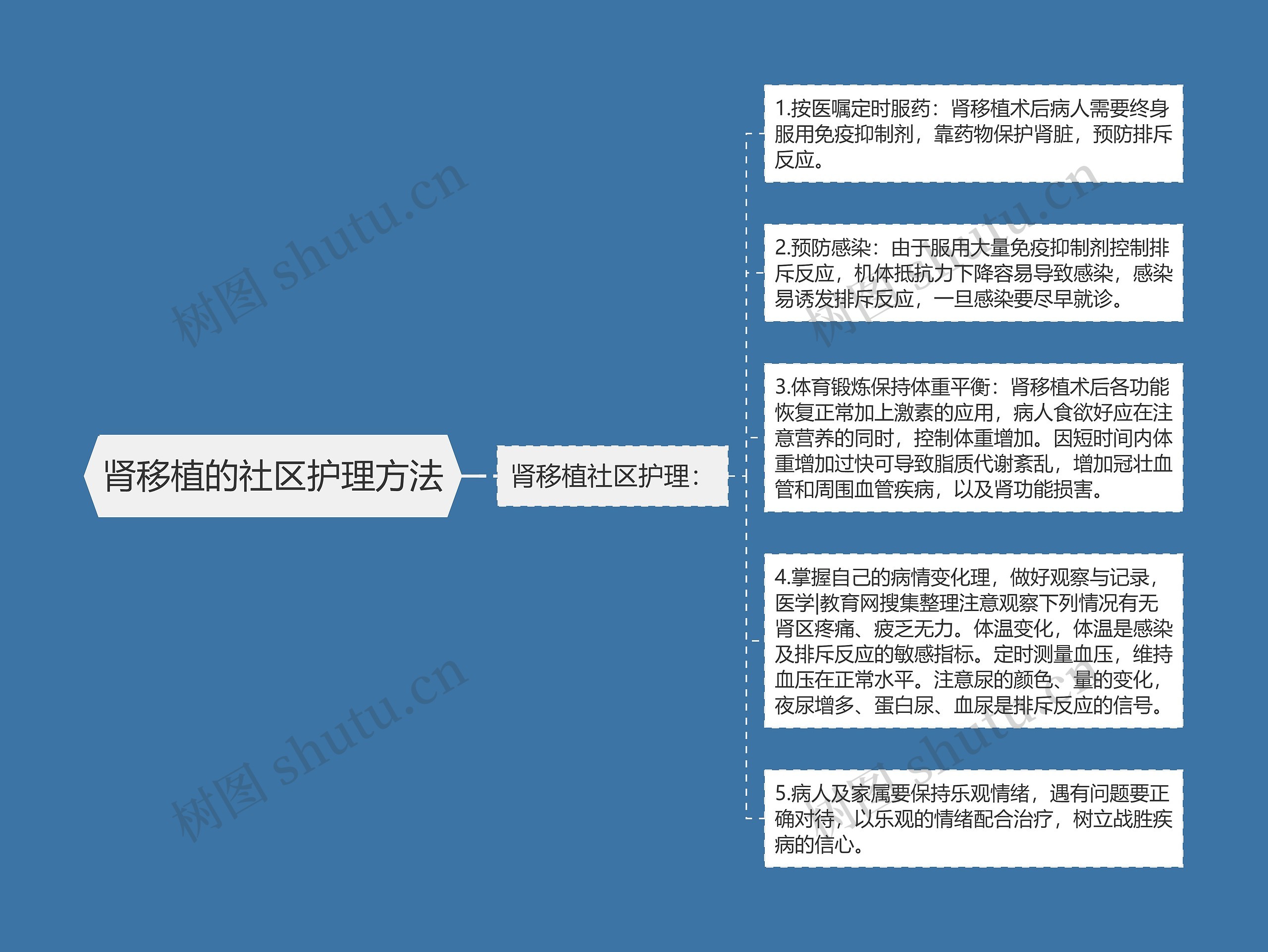 肾移植的社区护理方法思维导图