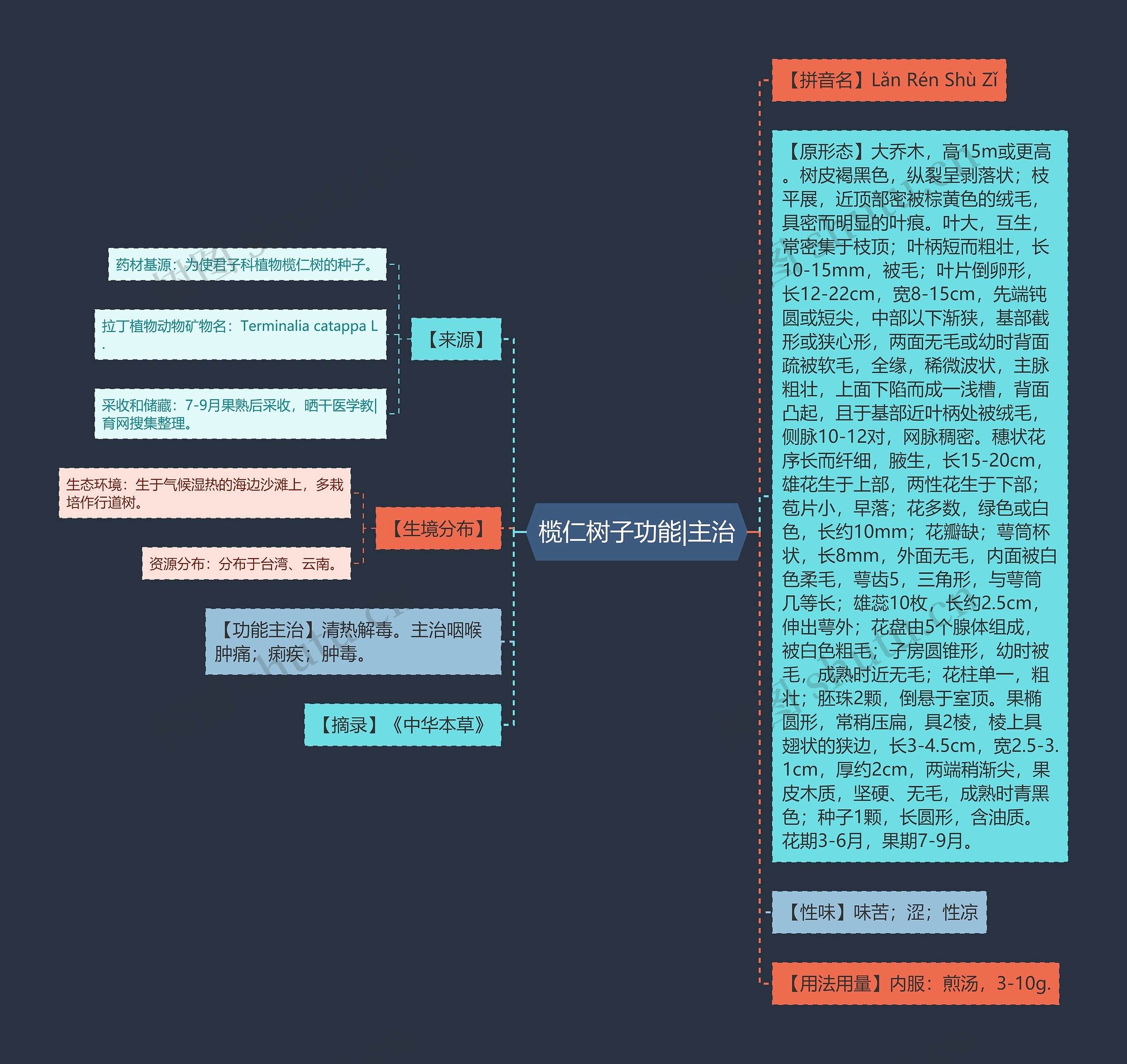 榄仁树子功能|主治 榄仁树子功能|主治