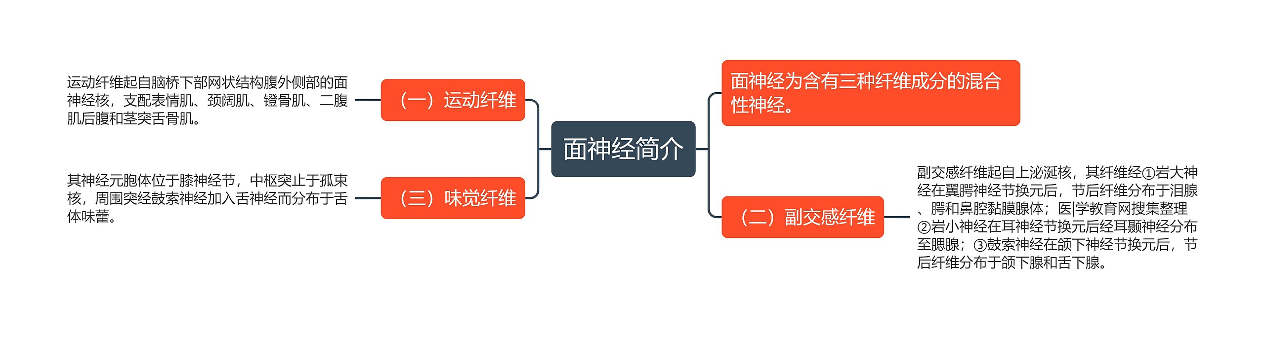 面神经简介思维导图高清图 面神经简介思维导图