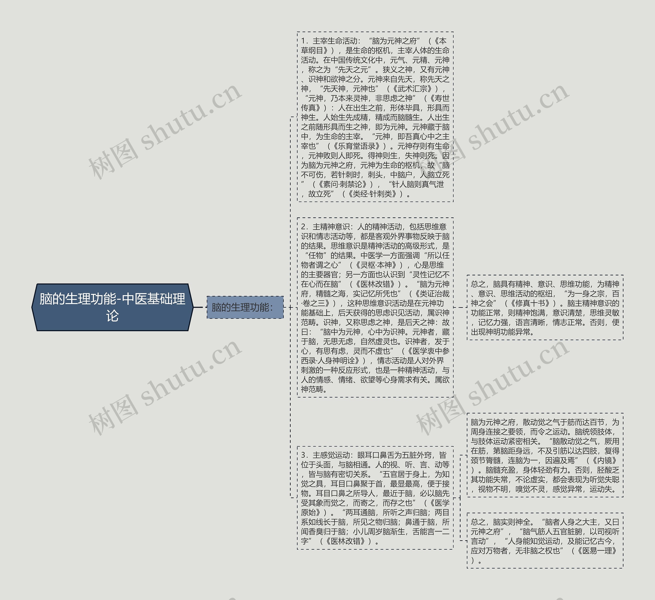 脑的生理功能-中医基础理论