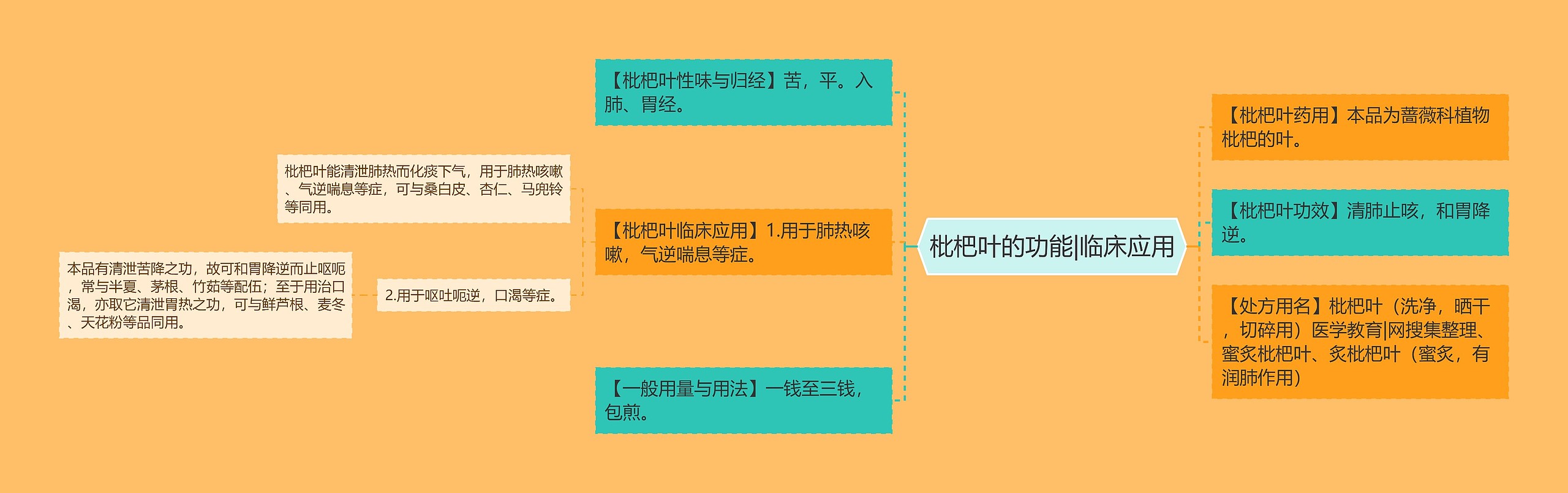 枇杷叶的功能|临床应用思维导图