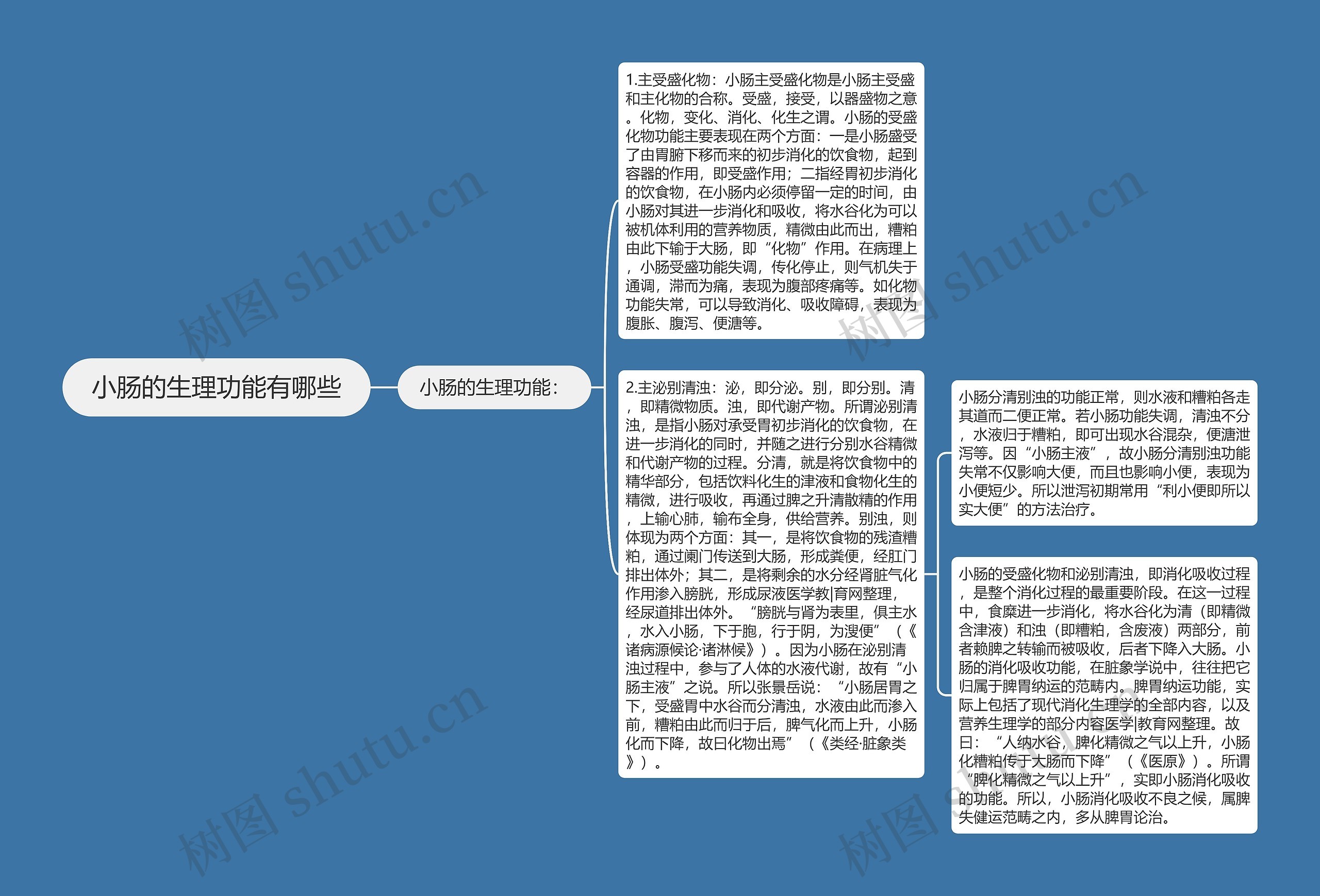 小肠的生理功能有哪些思维导图