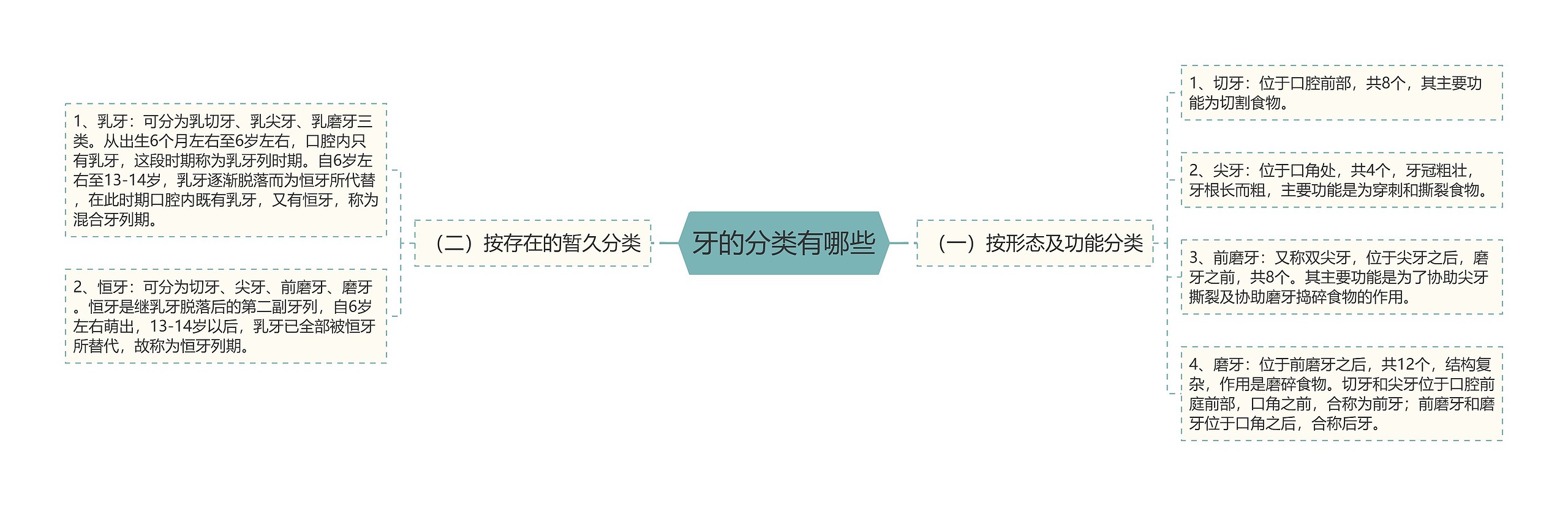 牙的分类有哪些思维导图