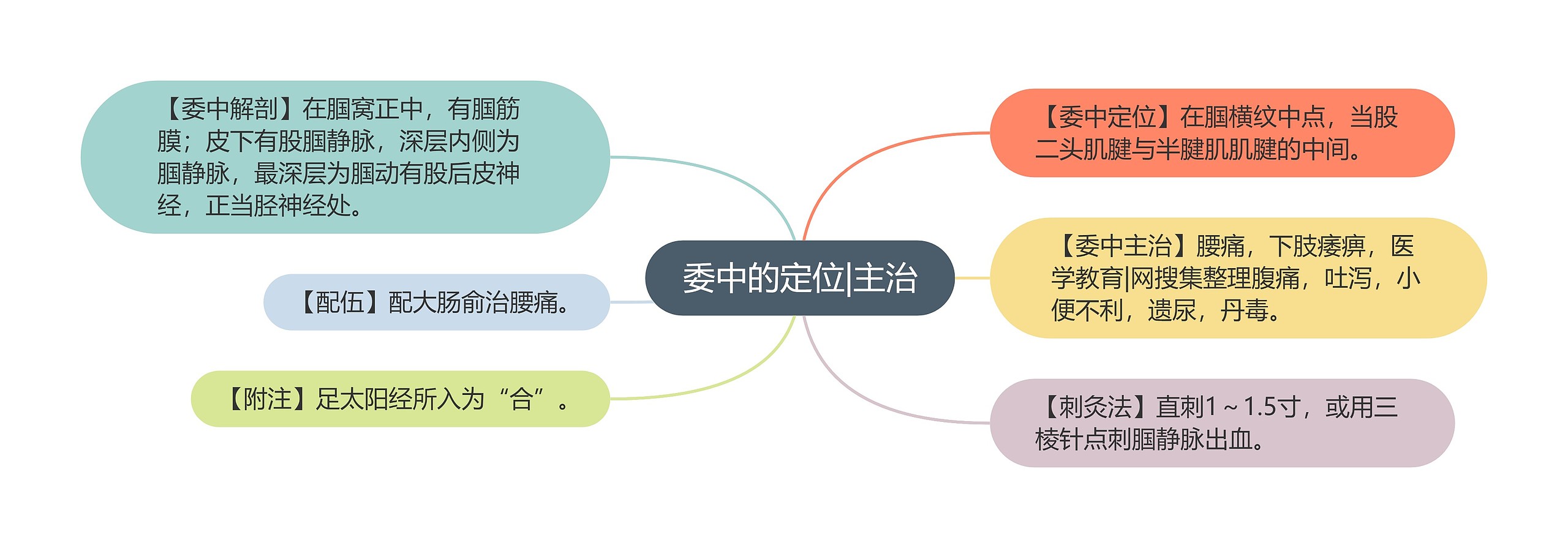 委中的定位|主治