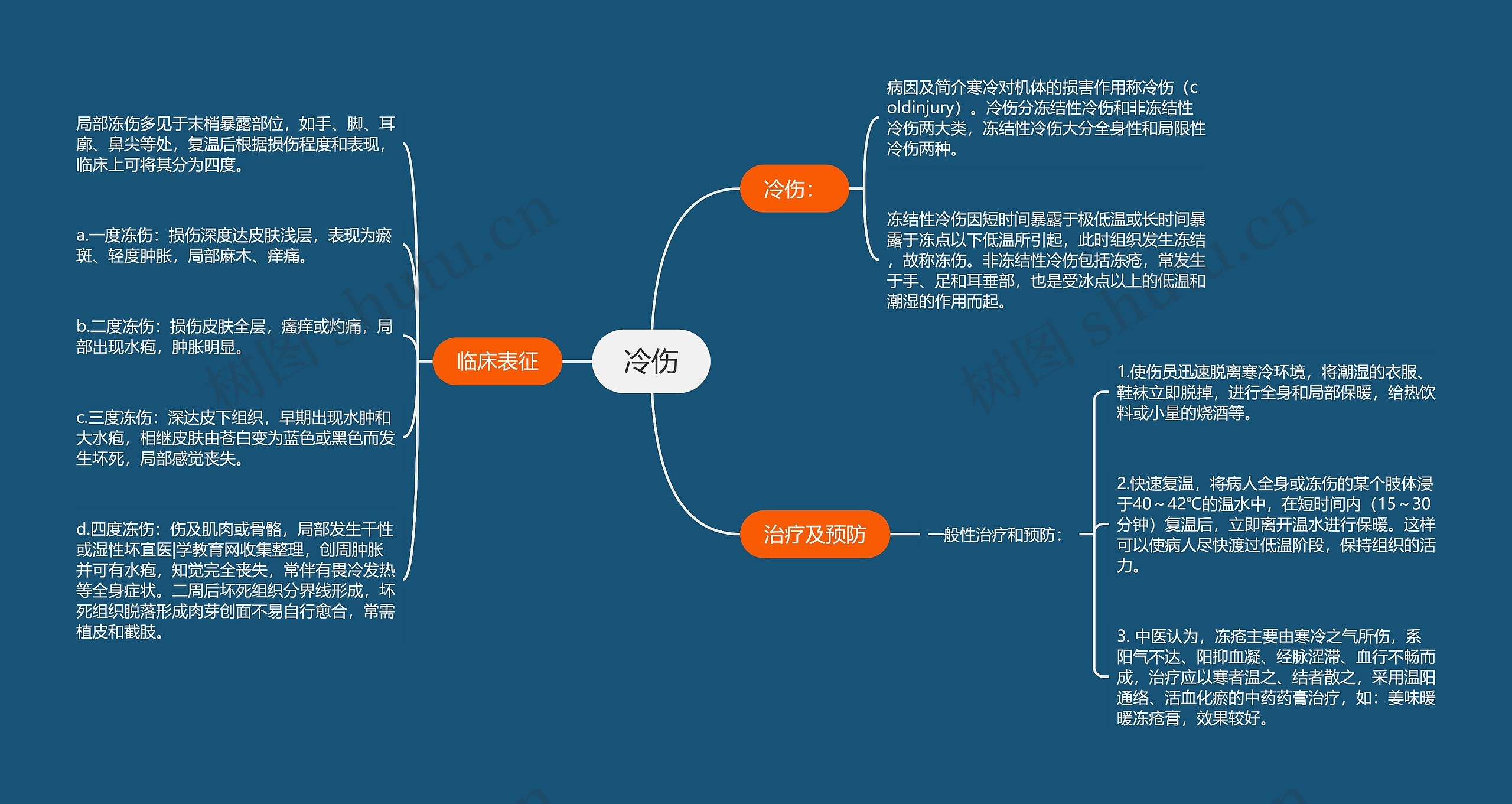 冷伤思维导图