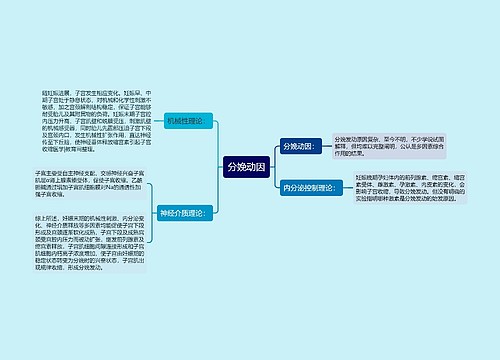 分娩动因