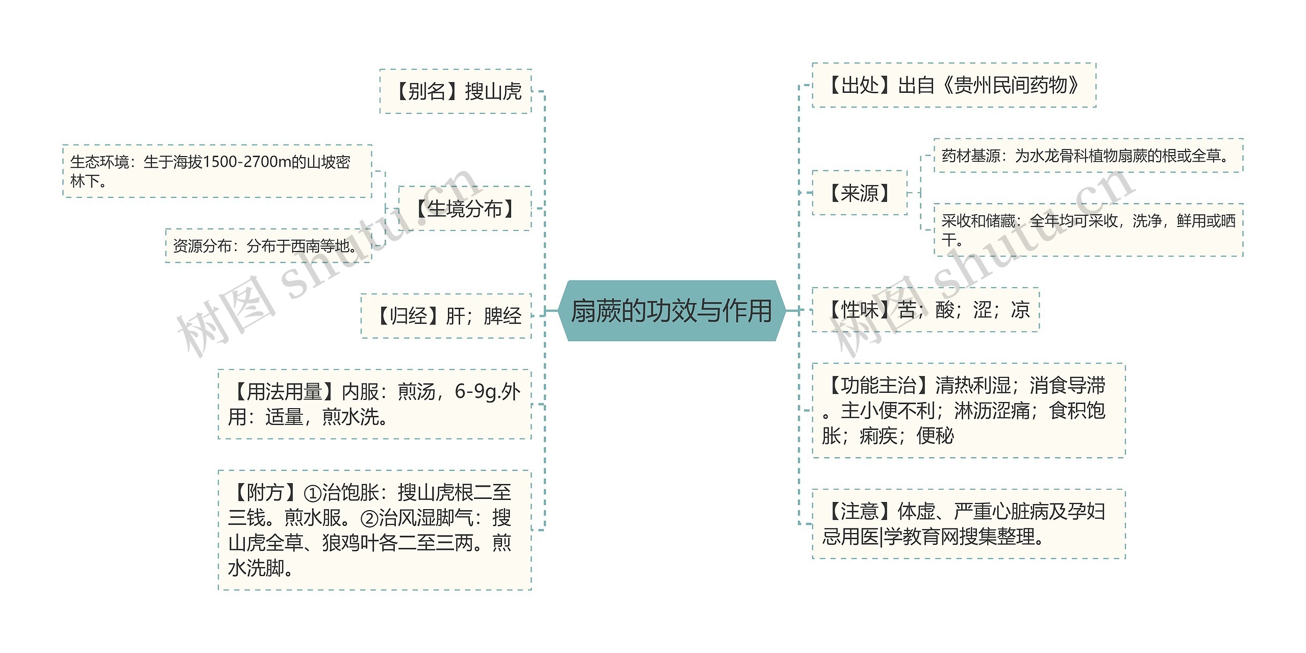 扇蕨的功效与作用思维导图