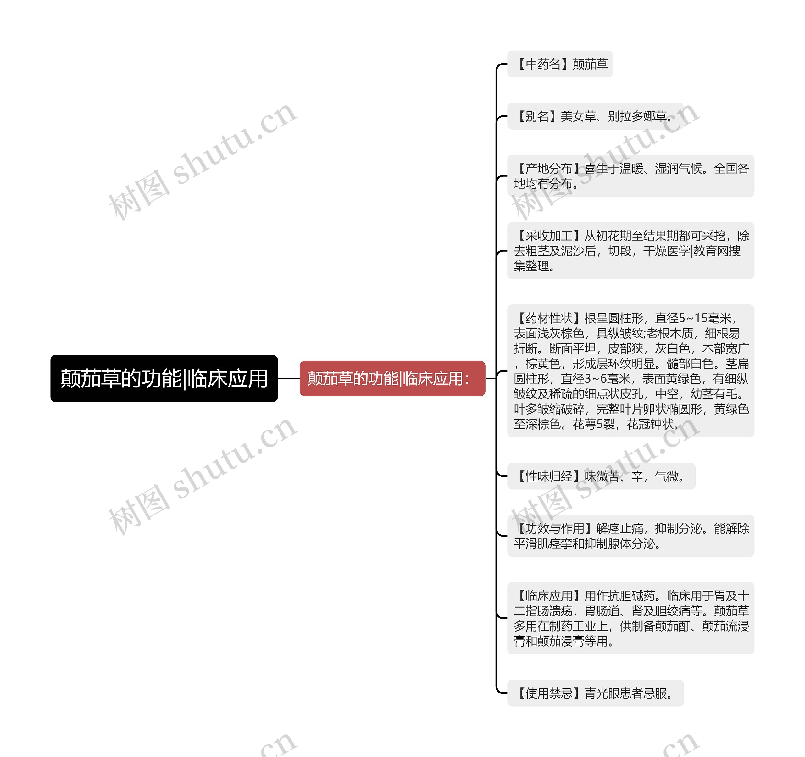 颠茄草的功能|临床应用思维导图