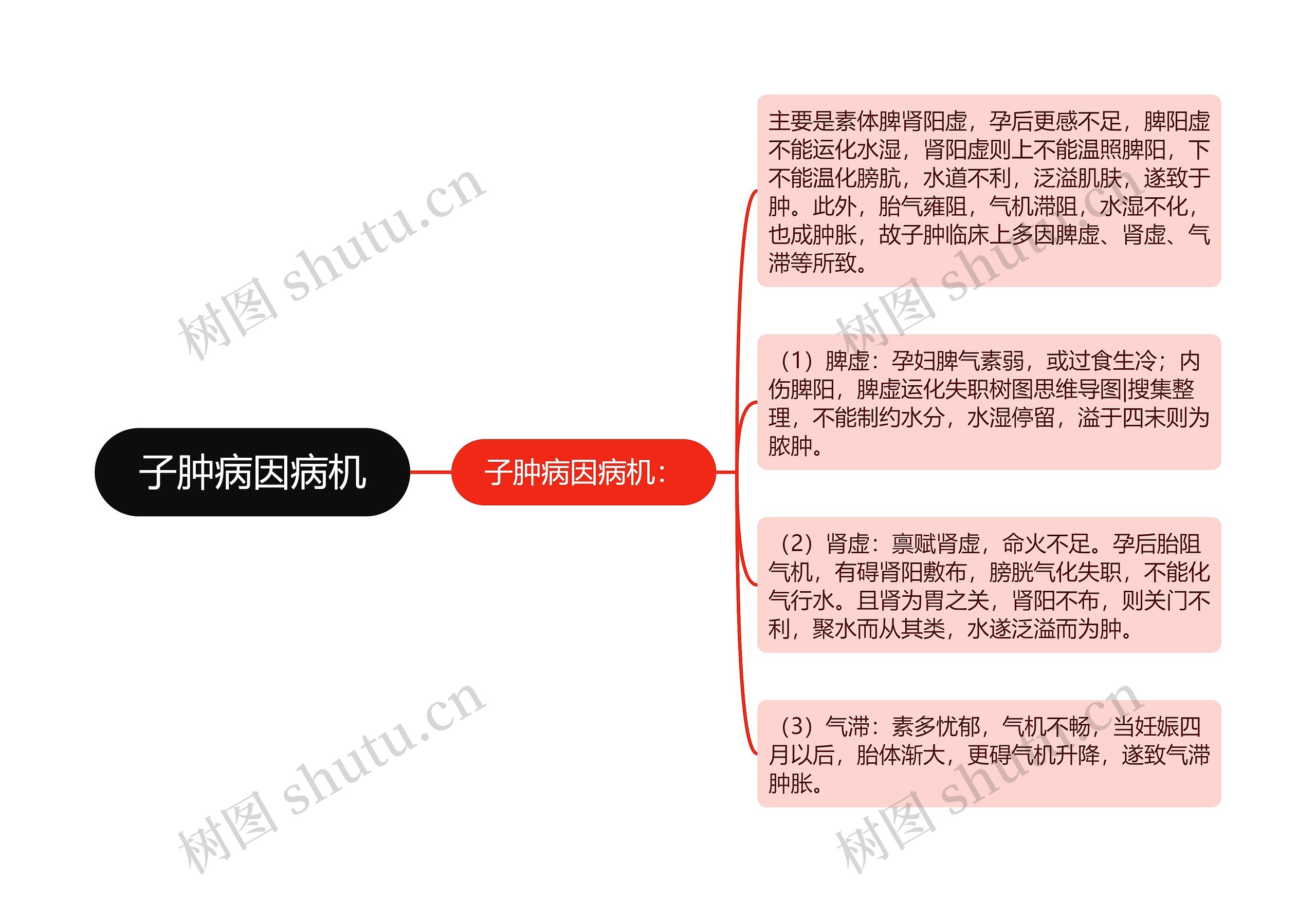 子肿病因病机思维导图